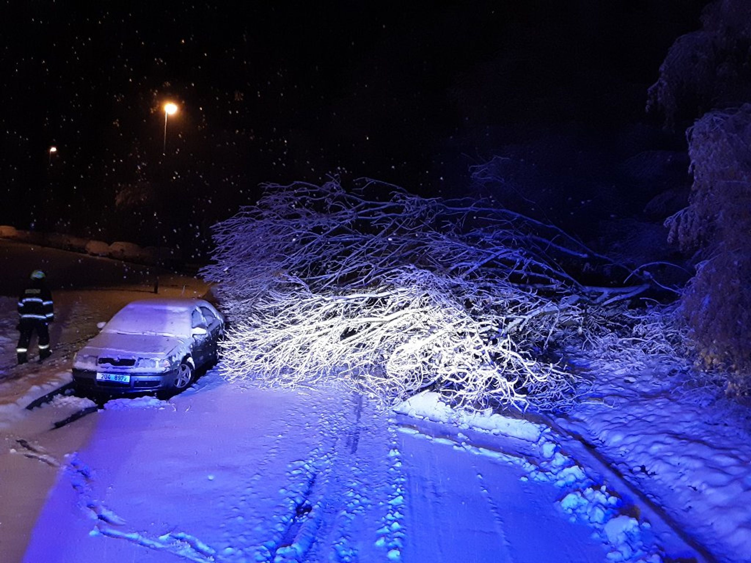 Ke spadlým stromům vyjížděli i v Ústeckém kraji - Počasí komplikuje dopravu v Česku. Hasiči řeší popadané stromy (7/15)
