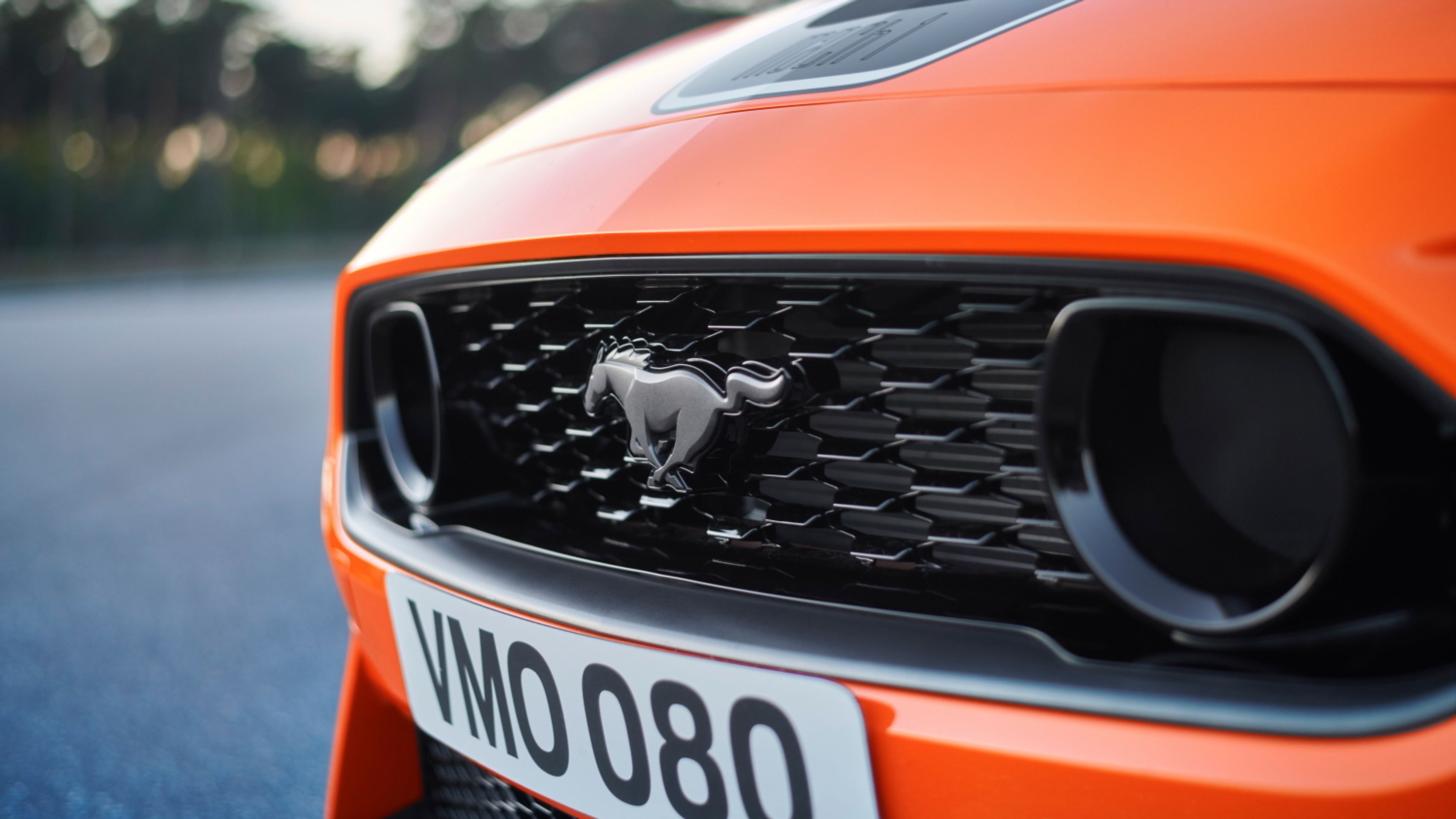 Ford Mustang Mach 1 - 9 - Fotogalerie: Připraven udělat pořádný rozruch - nový Mustang Mach 1 (9/13)