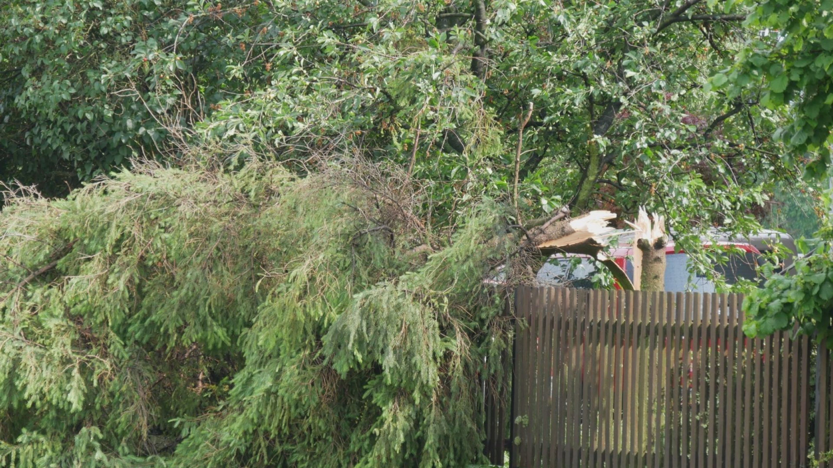 Následky silného větru na Opavsku - Následky bouřky a silného větru (9/21)