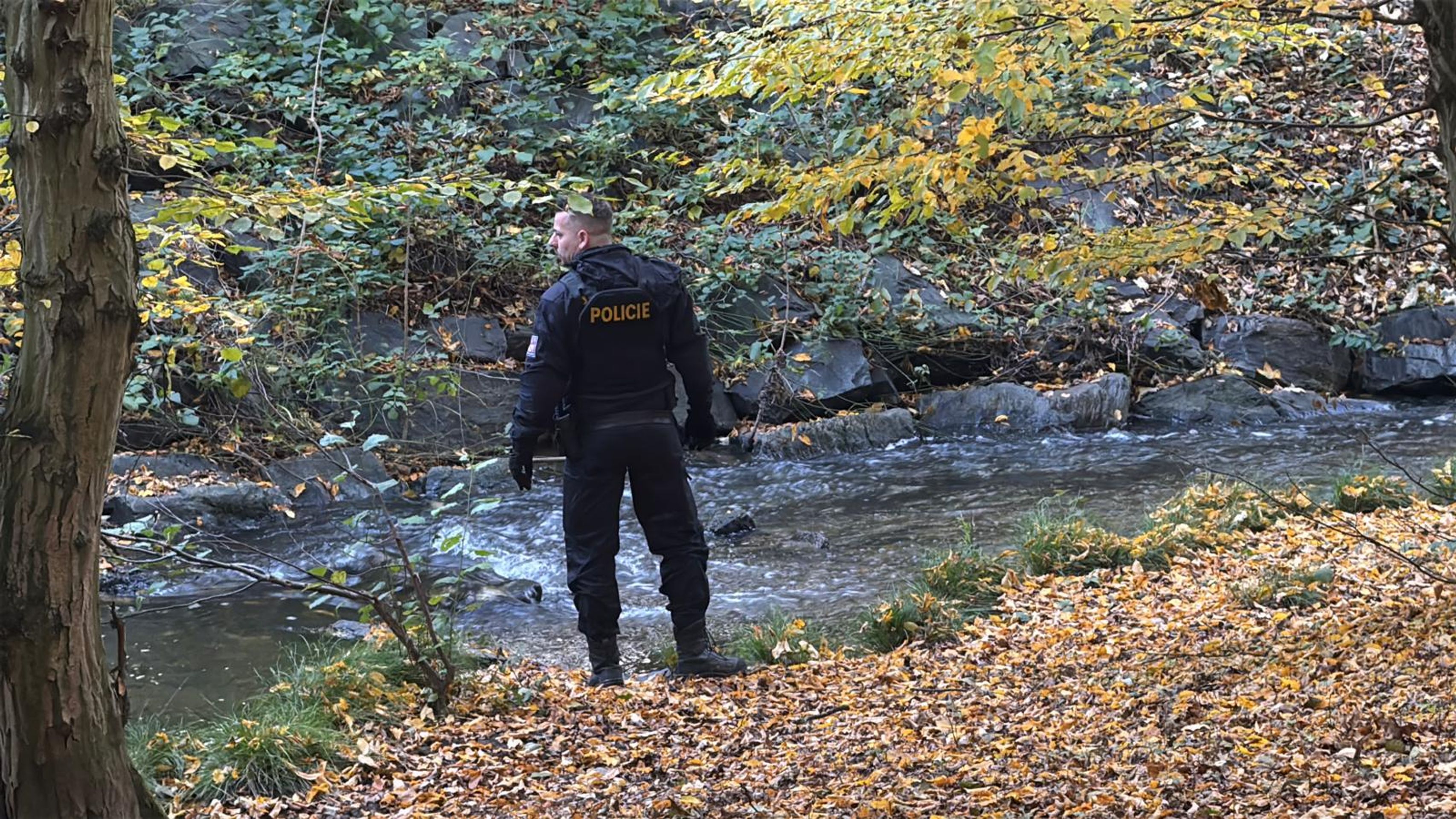 Nález těla v Kunratickém lese v Praze - Nález těla v Kunratickém lese v Praze (20. 10. 2024) (4/4)