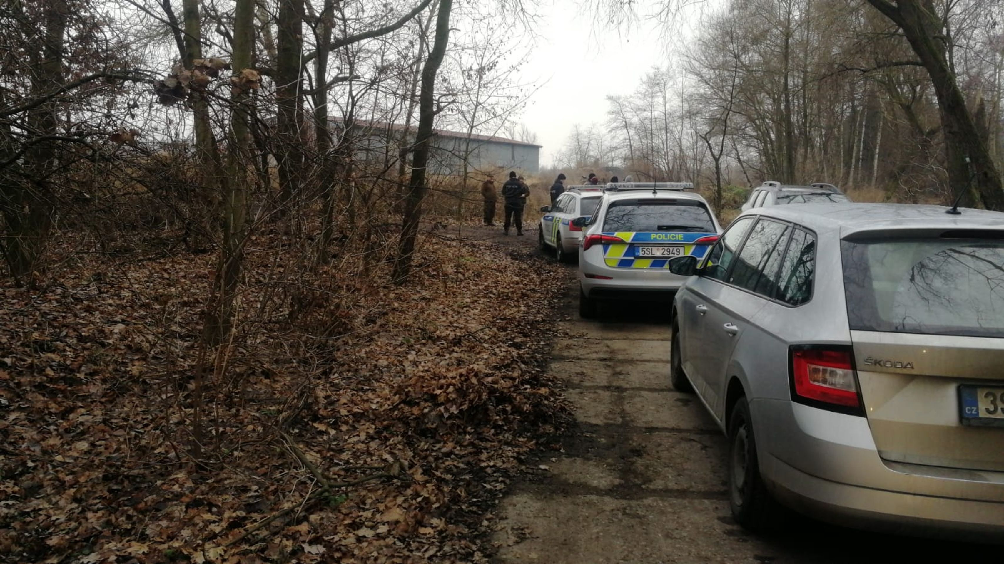 Policie - Policisté pátrají po medvědovi u Staré Boleslavi (3/4)