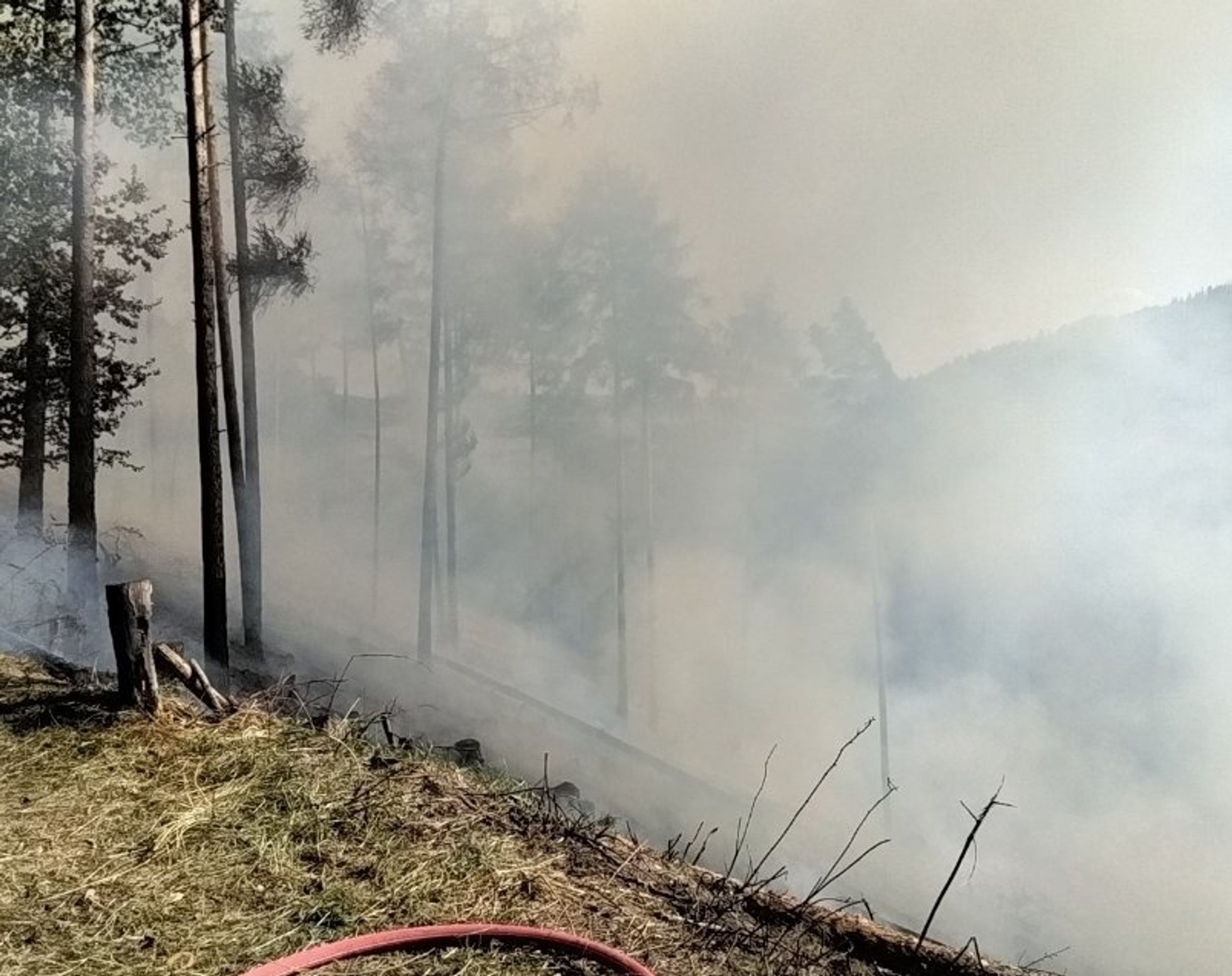 Požár lesa na Svitavsku - Požár lesa na Svitavsku (3/3)