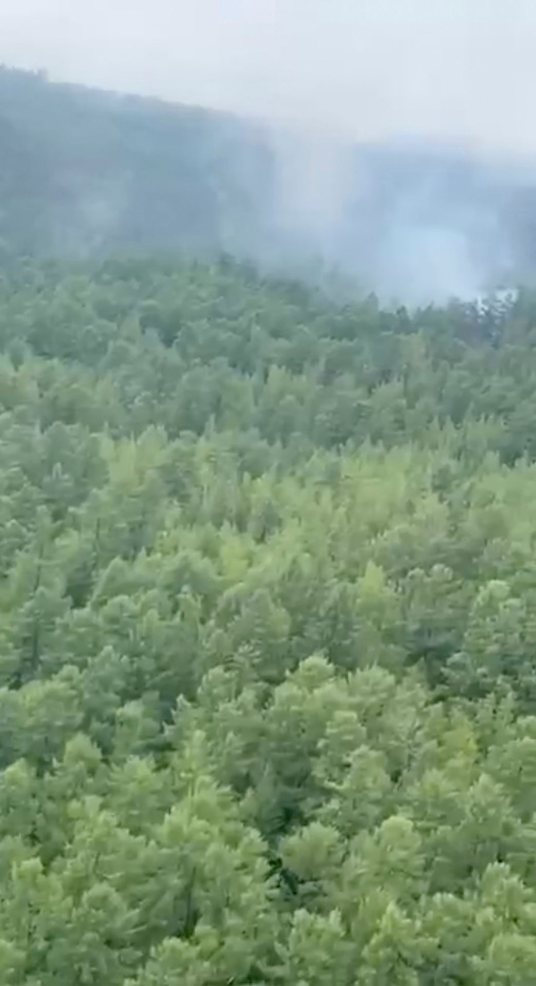 Pád letadla An-24 v Rusku - Pád letadla An-24 v Rusku (3/4)
