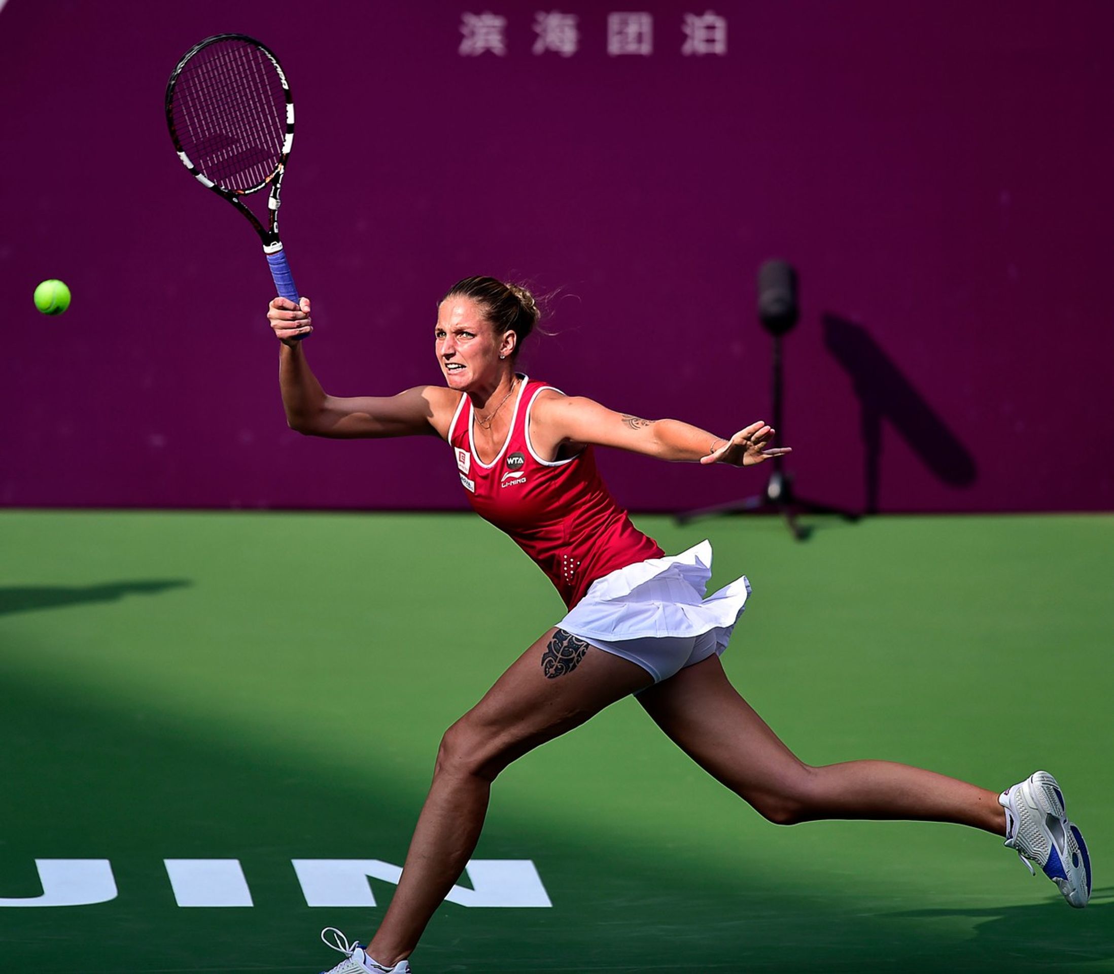 karolína plíšková - GALERIE: Karolína Plíšková a Michal Hrdlička (8/16)