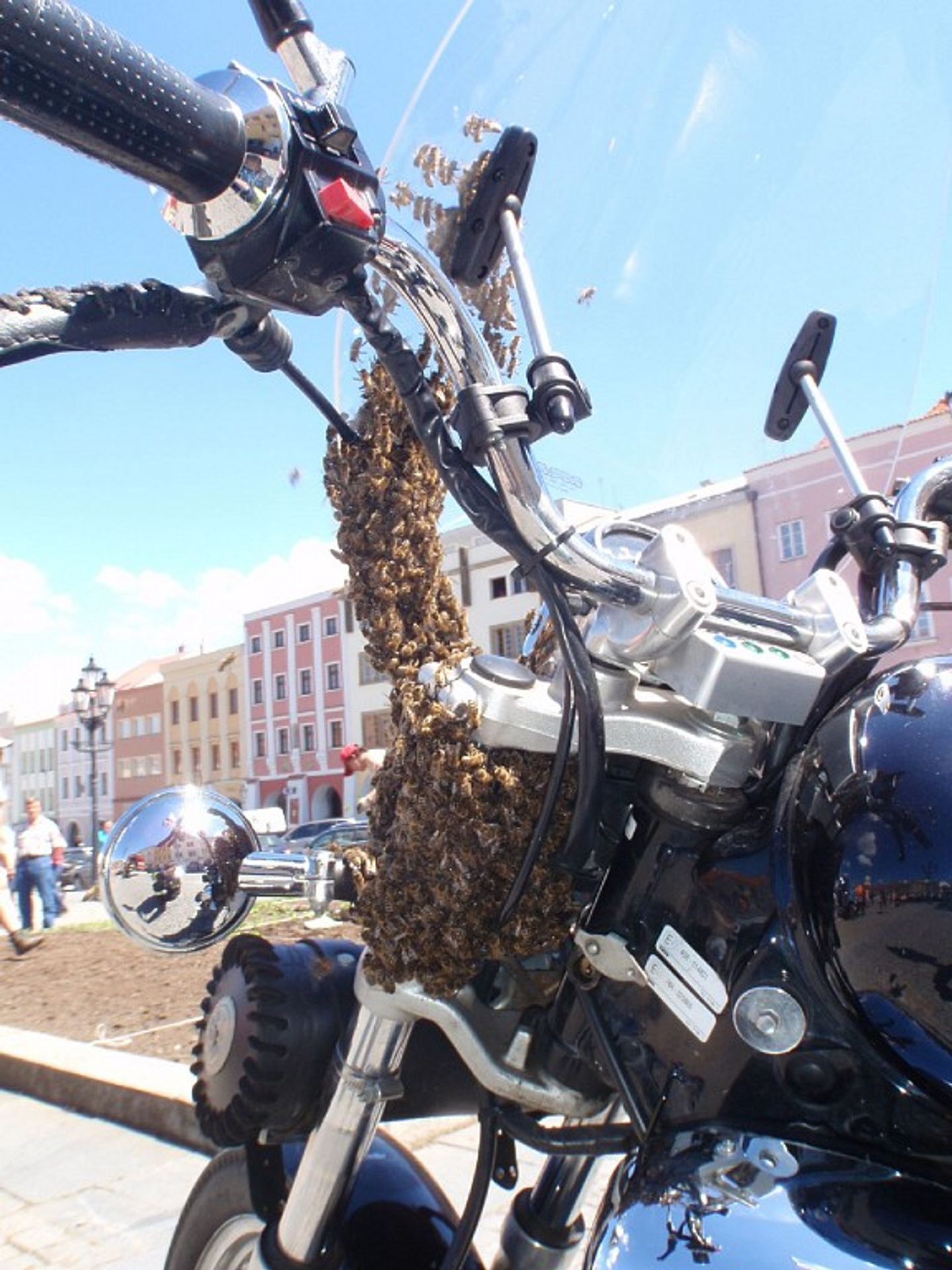 Včely obsadily v Kroměříži motocykl - GALERIE: Včely obsadily v Kroměříži motocykl (1/4)