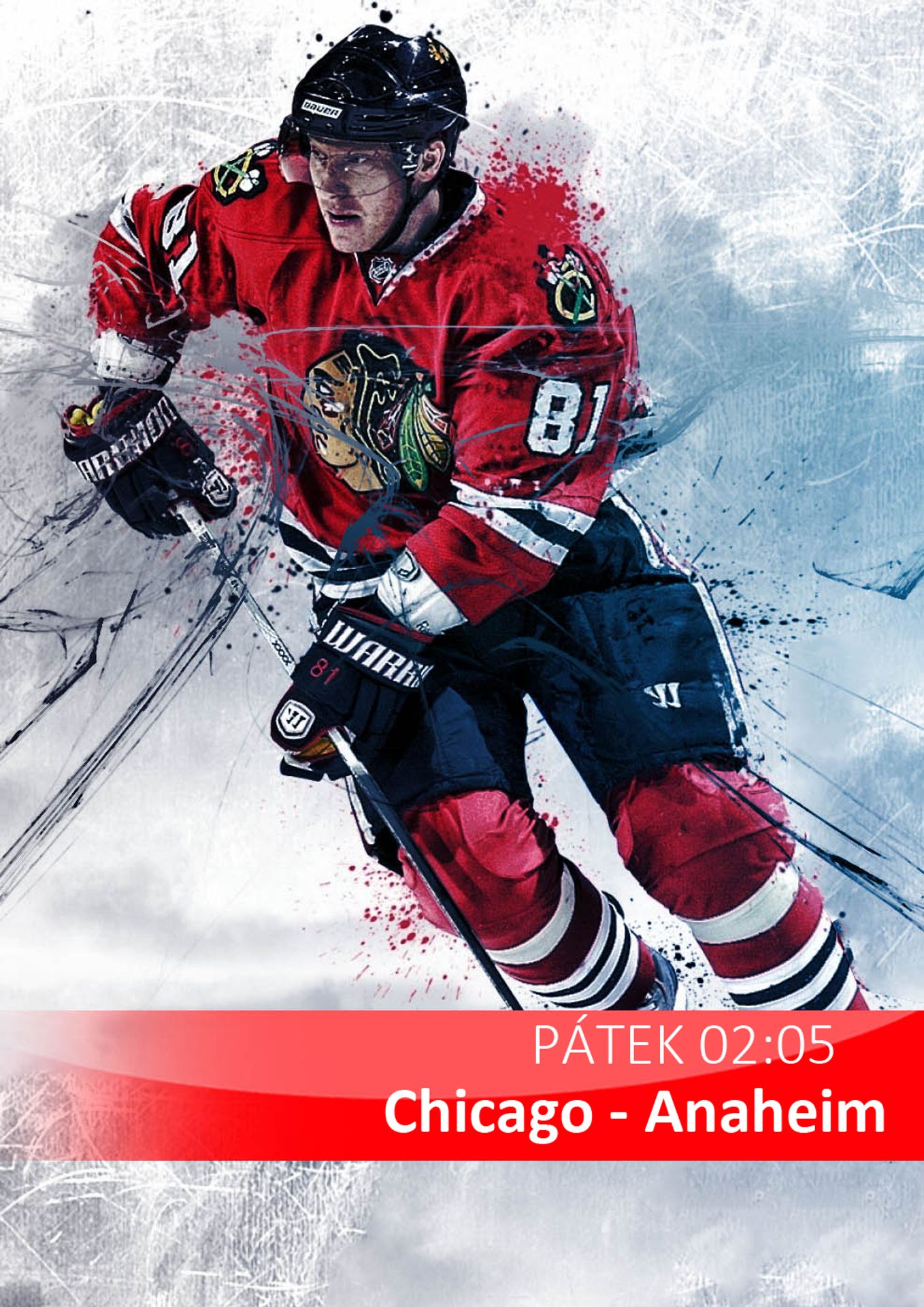 nhl - Chicago - anaheim - GALERIE: Rodiče s paterčaty (6/18)