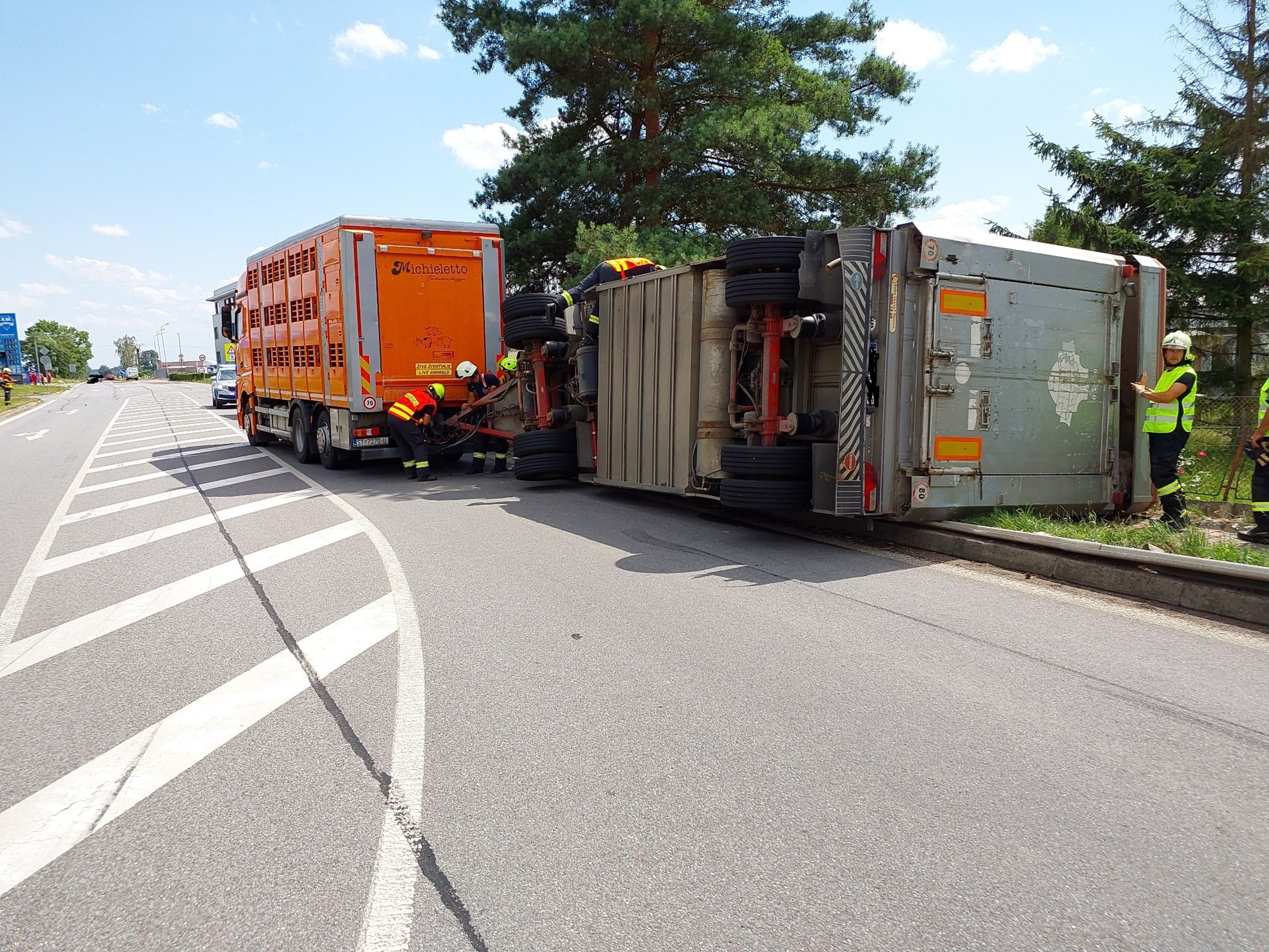 Dopravní nehoda nákladního automobilu s dobytkem (3) - Dopravní nehoda nákladního automobilu s dobytkem (3/4)