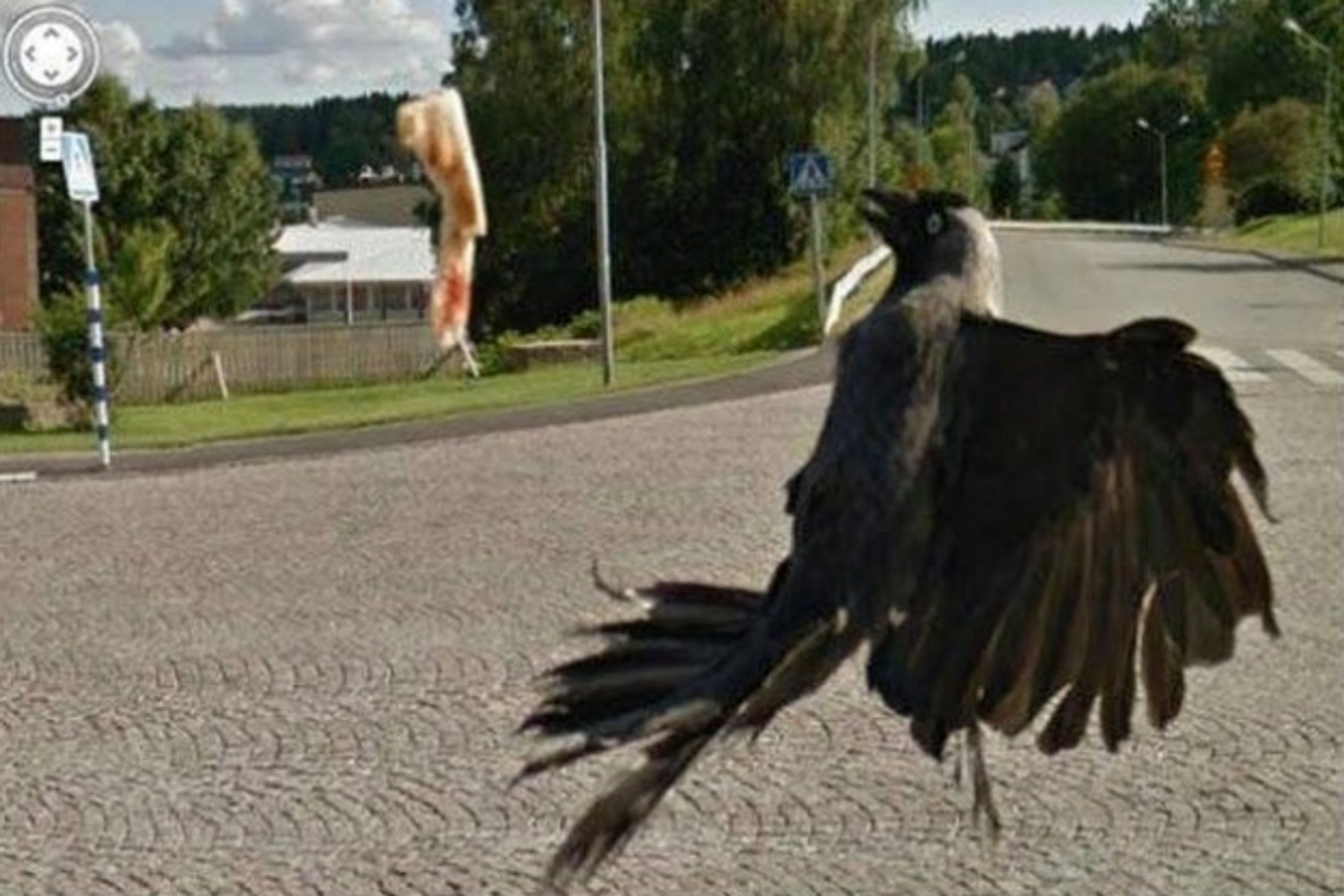 Kuriózní snímky z Google Street View - 13 - GALERIE: Kuriózní snímky z Google Street View (13/18)