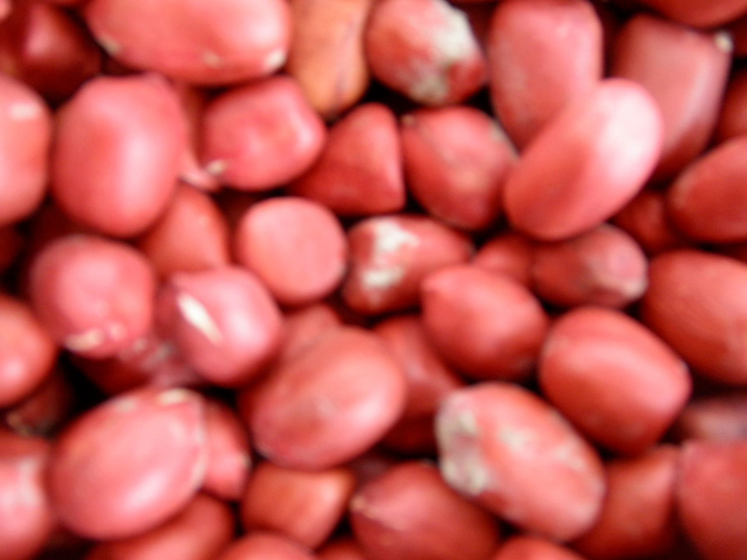 SZPI: Zabavené ořechy a sójový výrobek z Vietnamu - 3 - GALERIE - SZPI: Zabavené ořechy a sójový výrobek z Vietnamu (4/4)