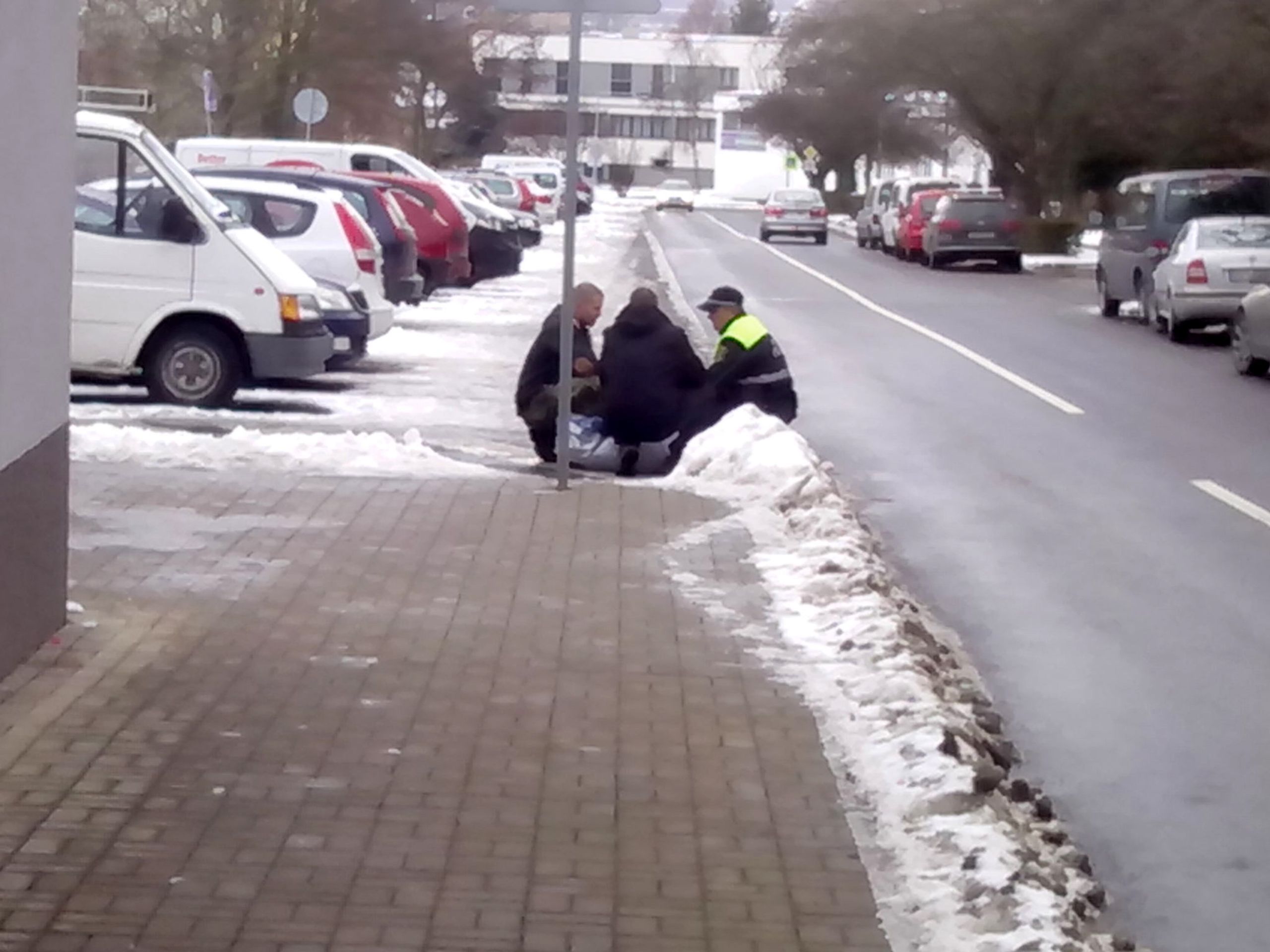 Divoké prase ve škole - 11 - GALERIE: Divoké prase ve škole (11/18)