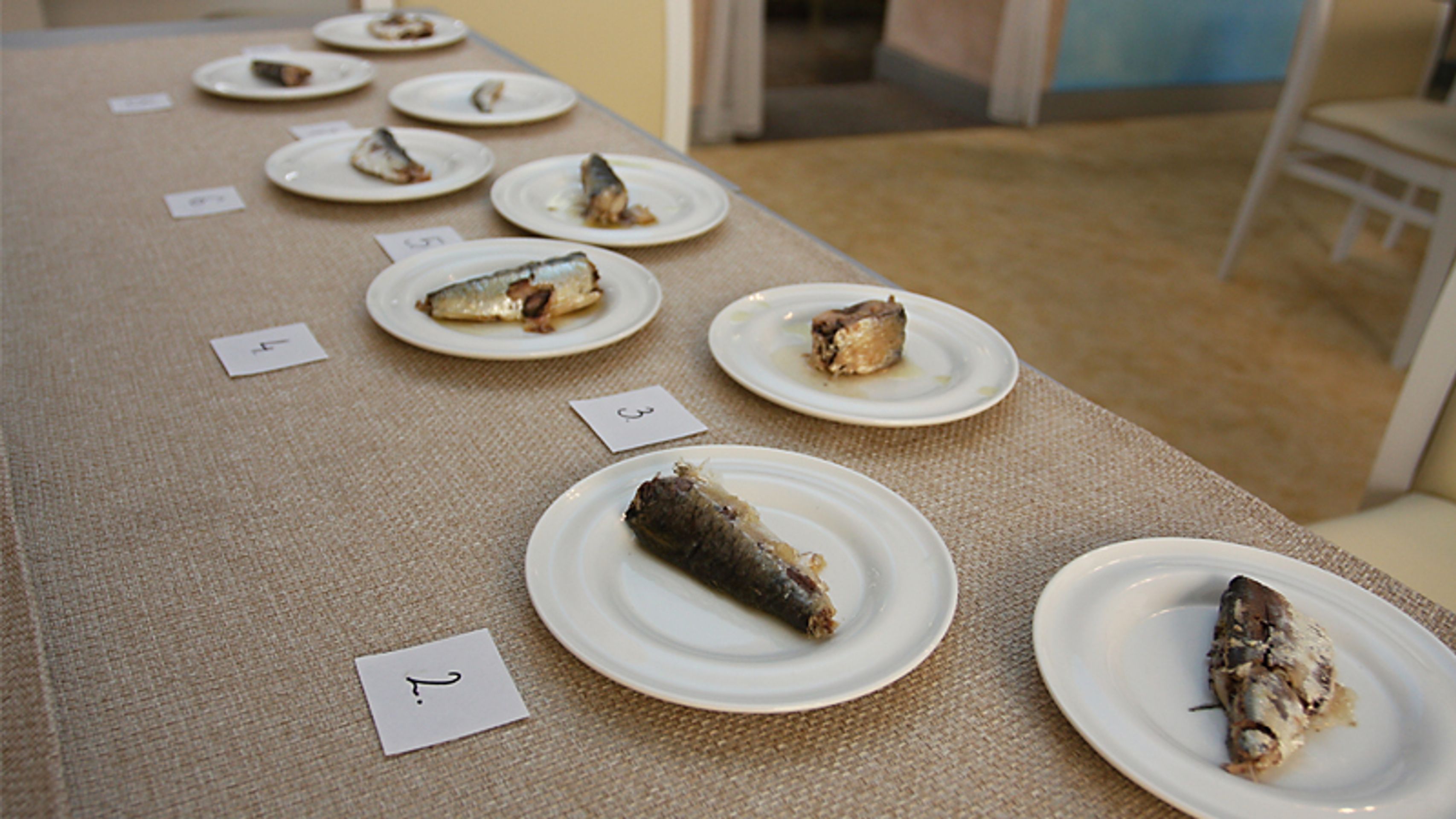 Test - sardinky - Test sardinek (2/13)