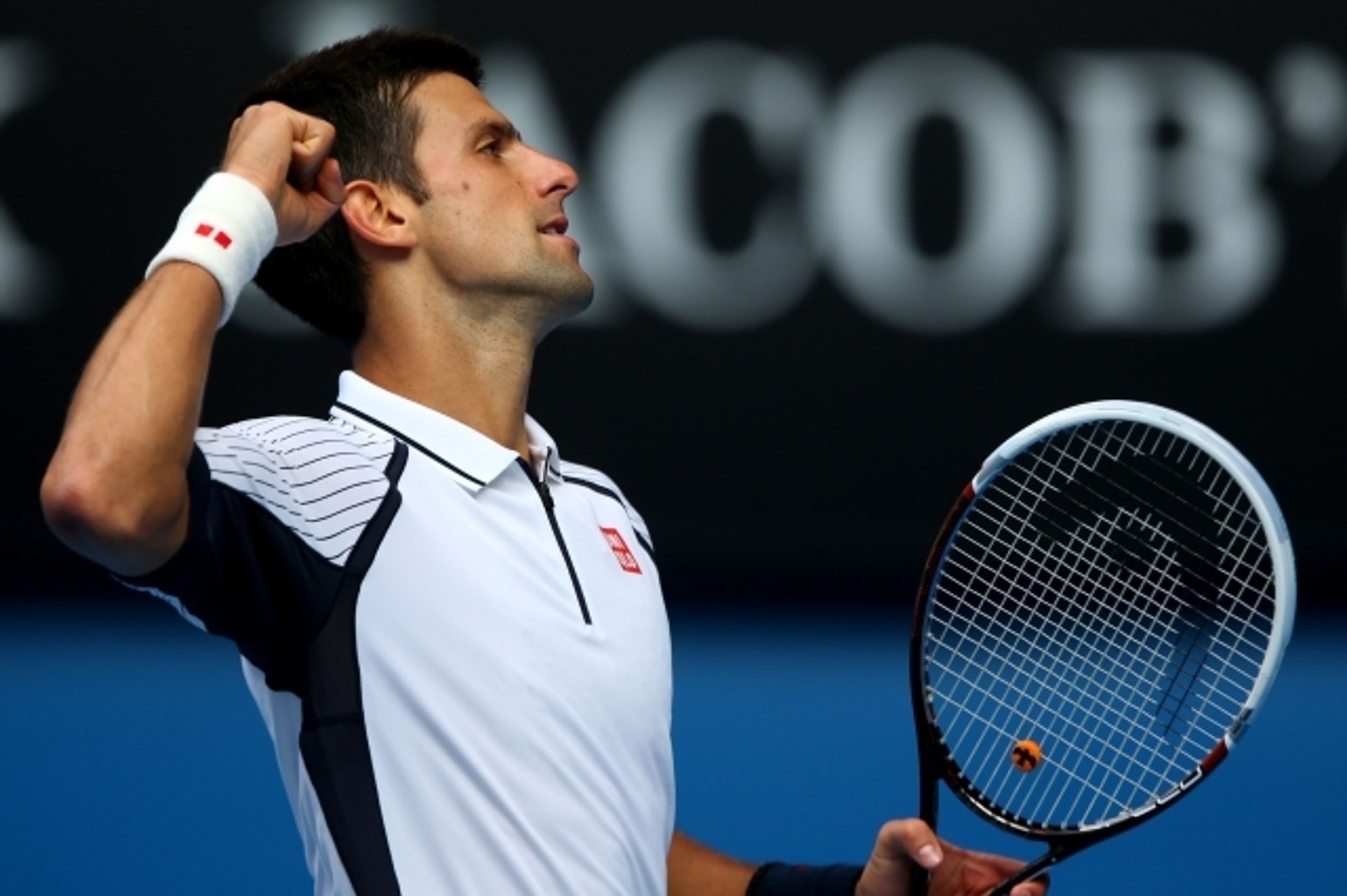 Radek Štěpánek - Novak Djokovič - 6 - GALERIE: Radek Štěpánek vs. Novak Djokovič (3/12)