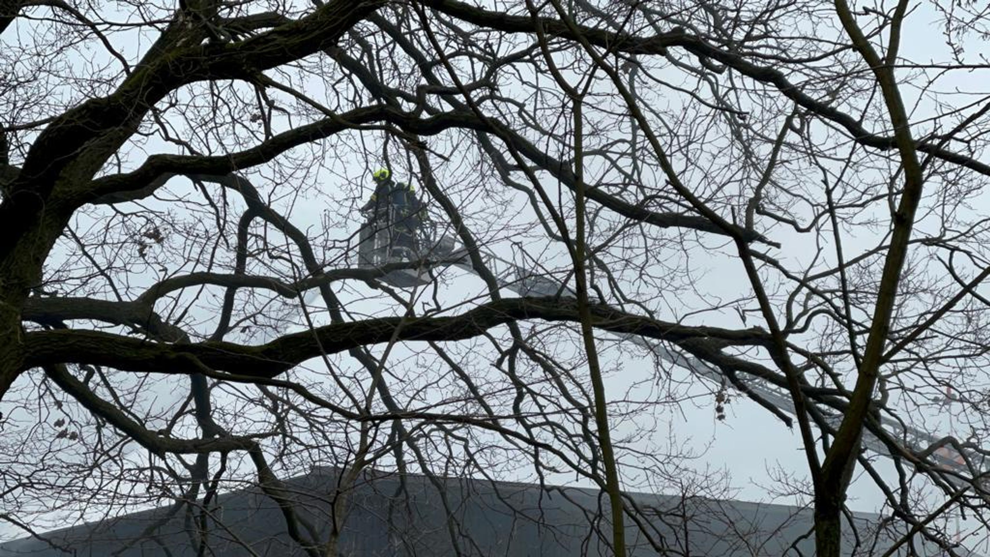 Požár v areálu letiště na Točné - 6 - GALERIE: Požár v areálu letiště na Točné (6/25)