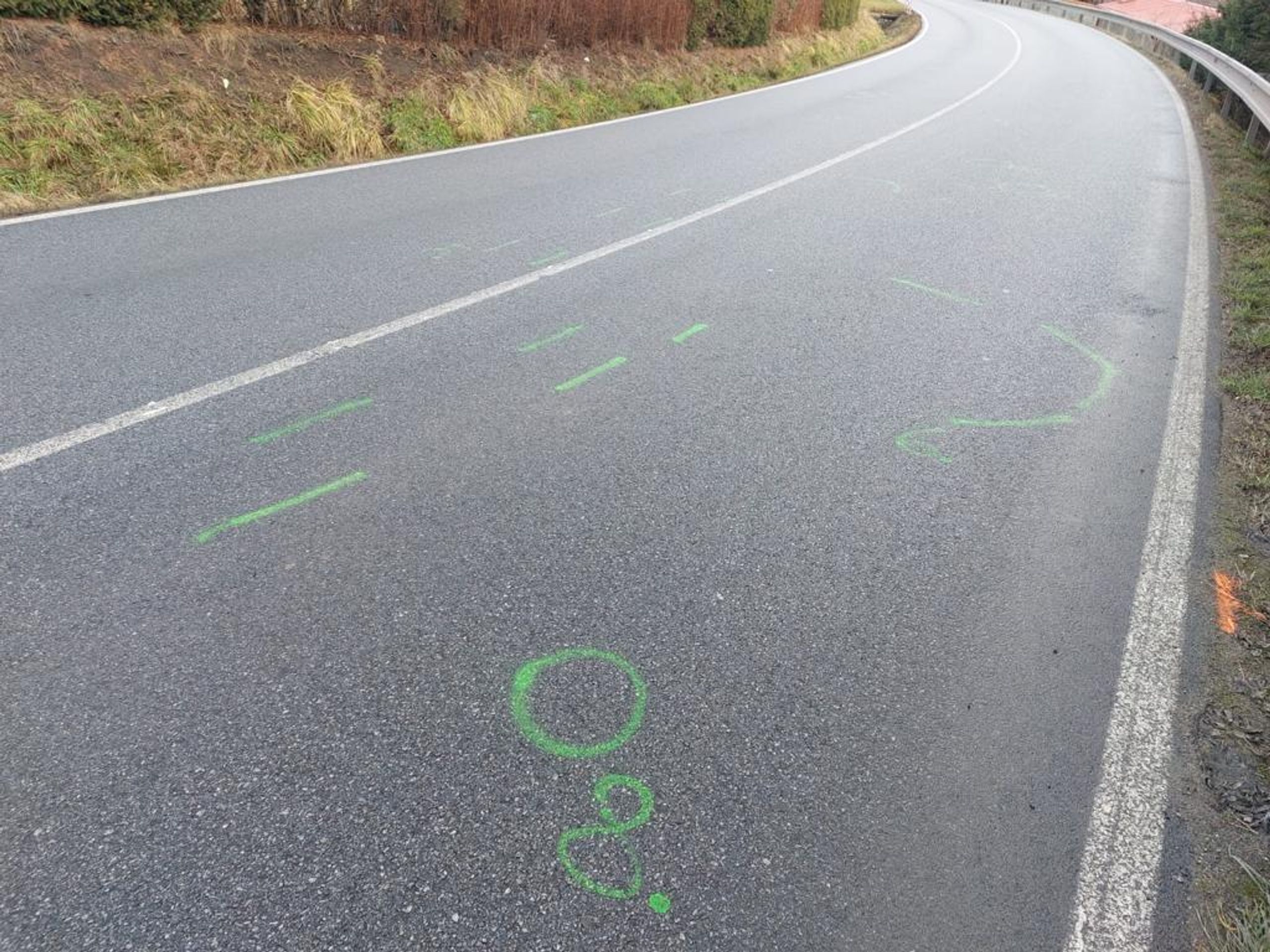 Srážka chodce v obci Nedabyle (2) - Srážka chodce v obci Nedabyle (1/6)