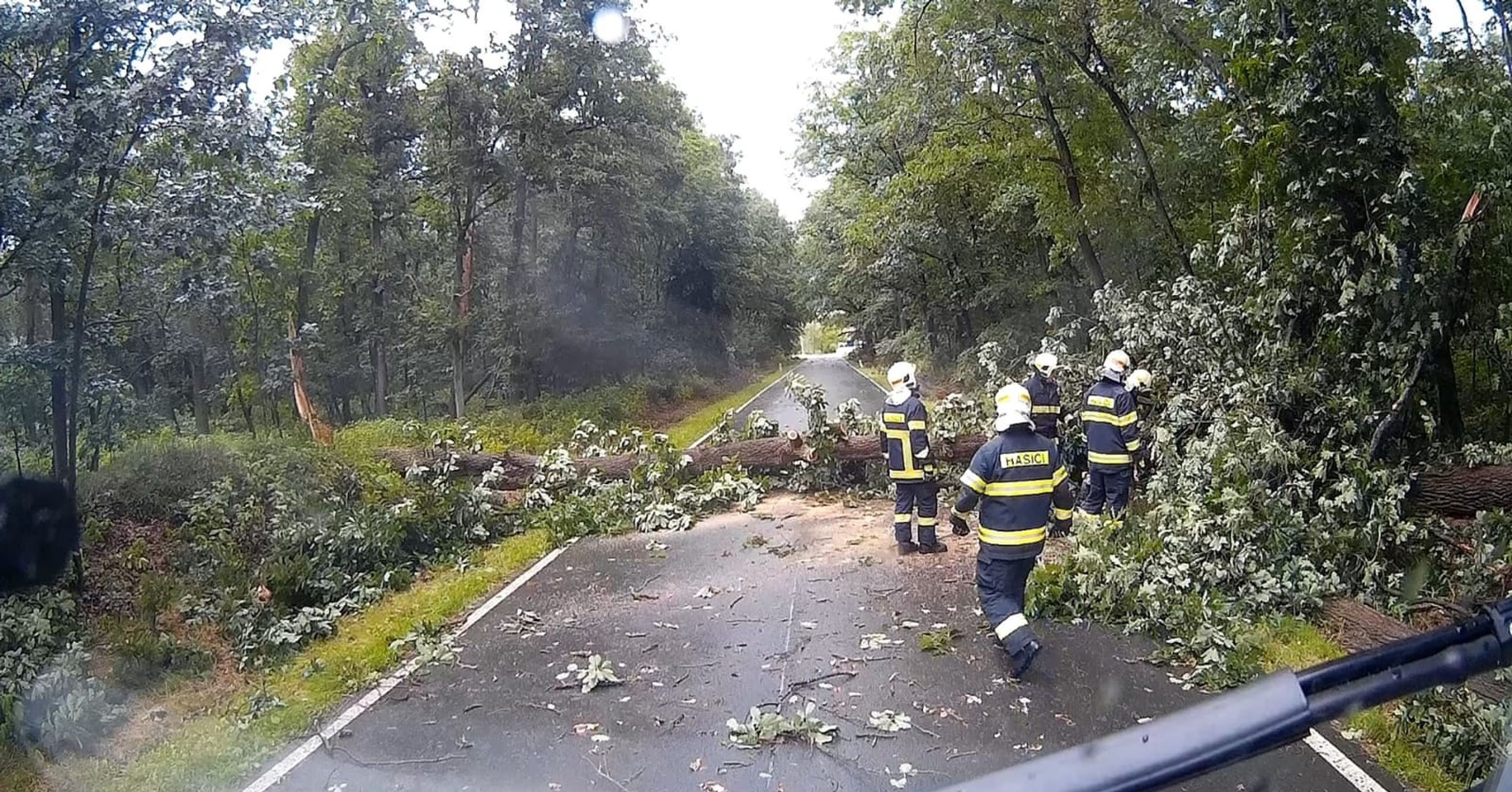 Vítr lámal stromy v Česku - GALERIE: Českem se prohnaly bouřky (10/23)
