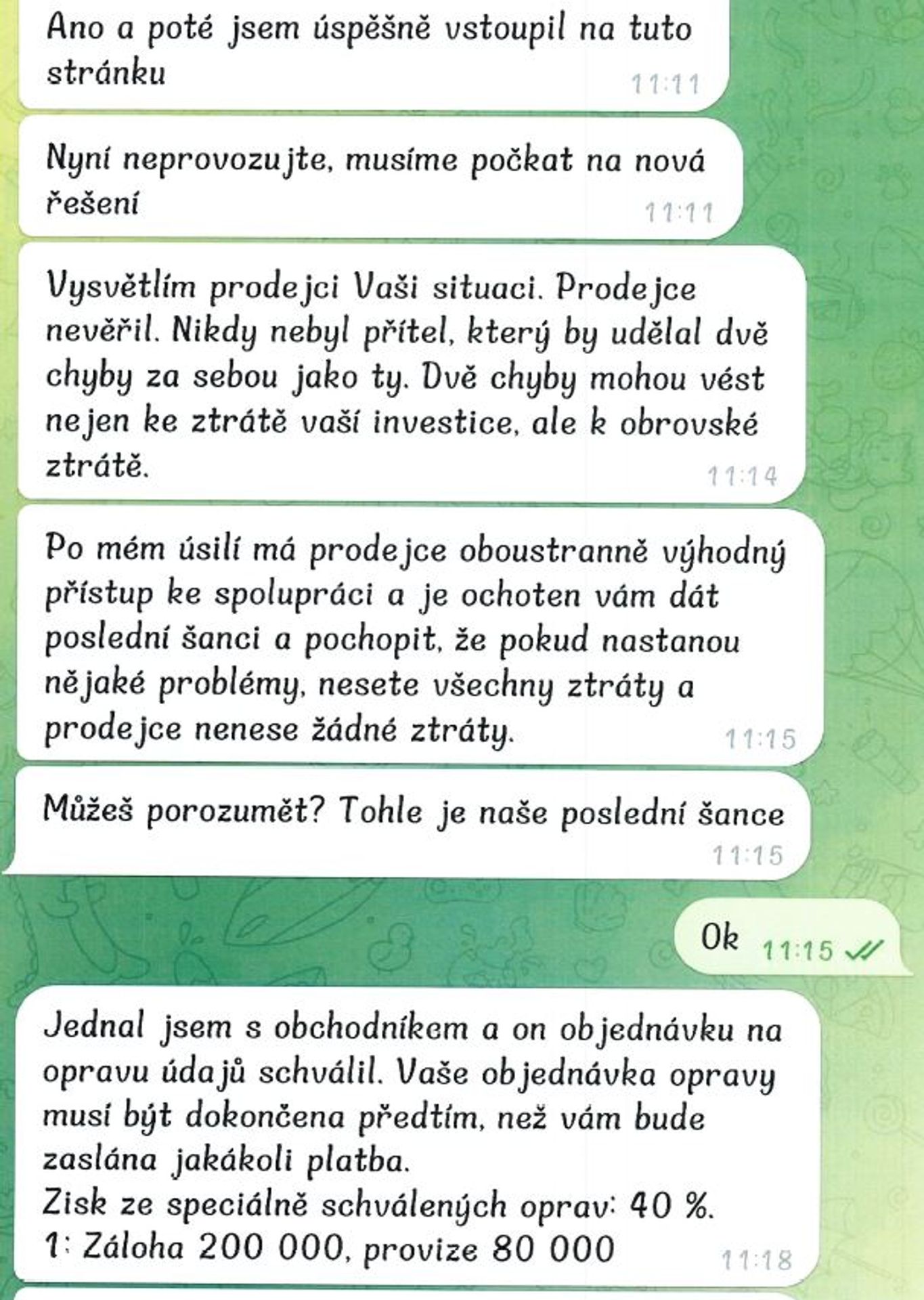 Internetový podvod (8) - Nový internetový podvod (10/14)