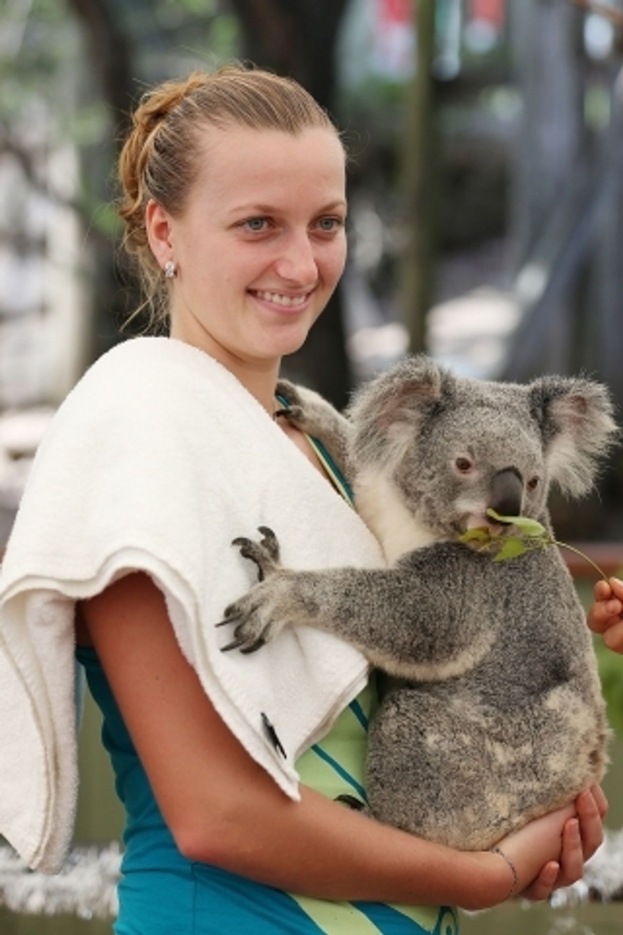 Petra Kvitová a koala - 4 - GALERIE: Petra Kvitová a koala (5/8)
