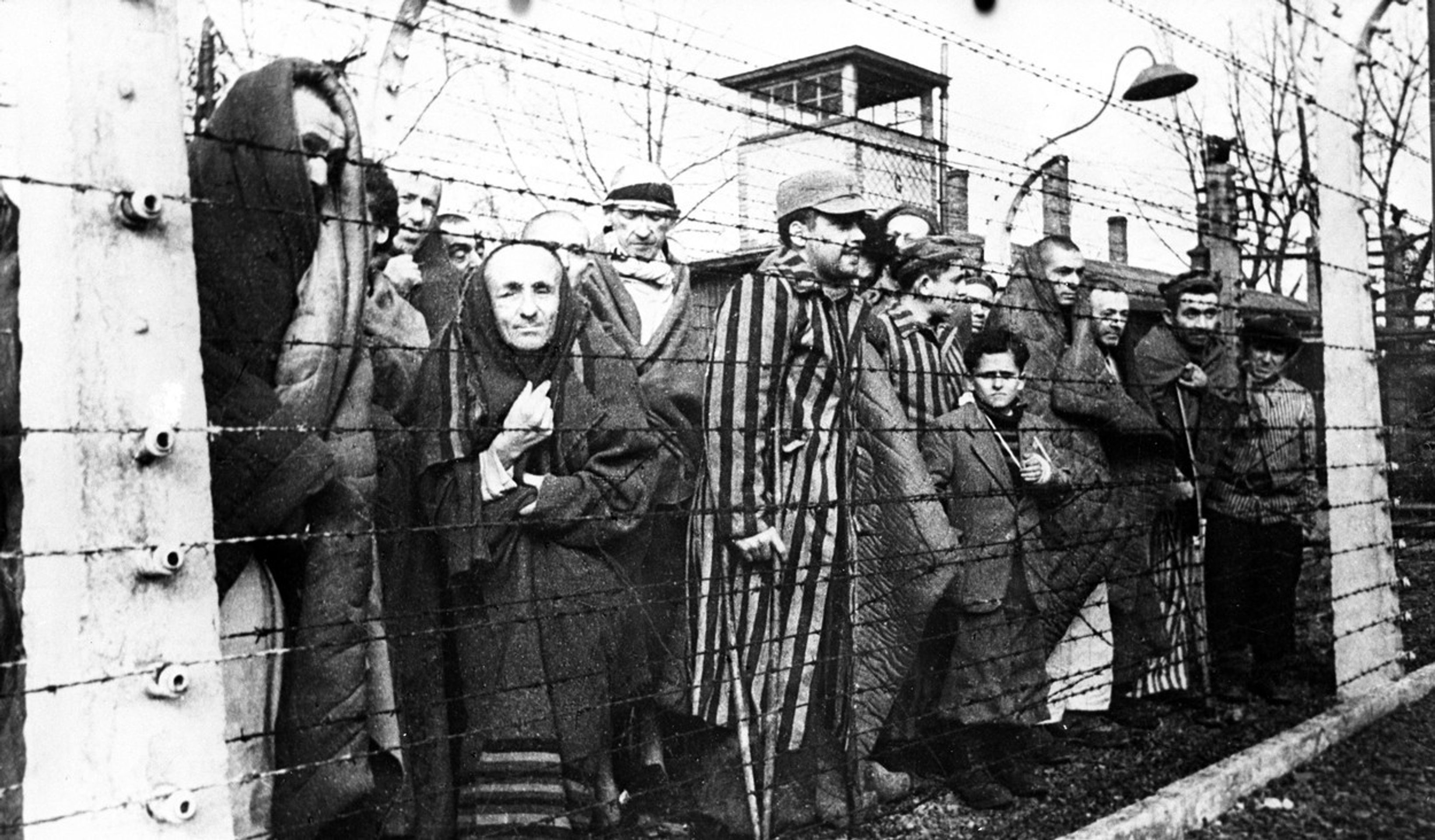 Holocaust - 1 - GALERIE: Holokaust (1/6)