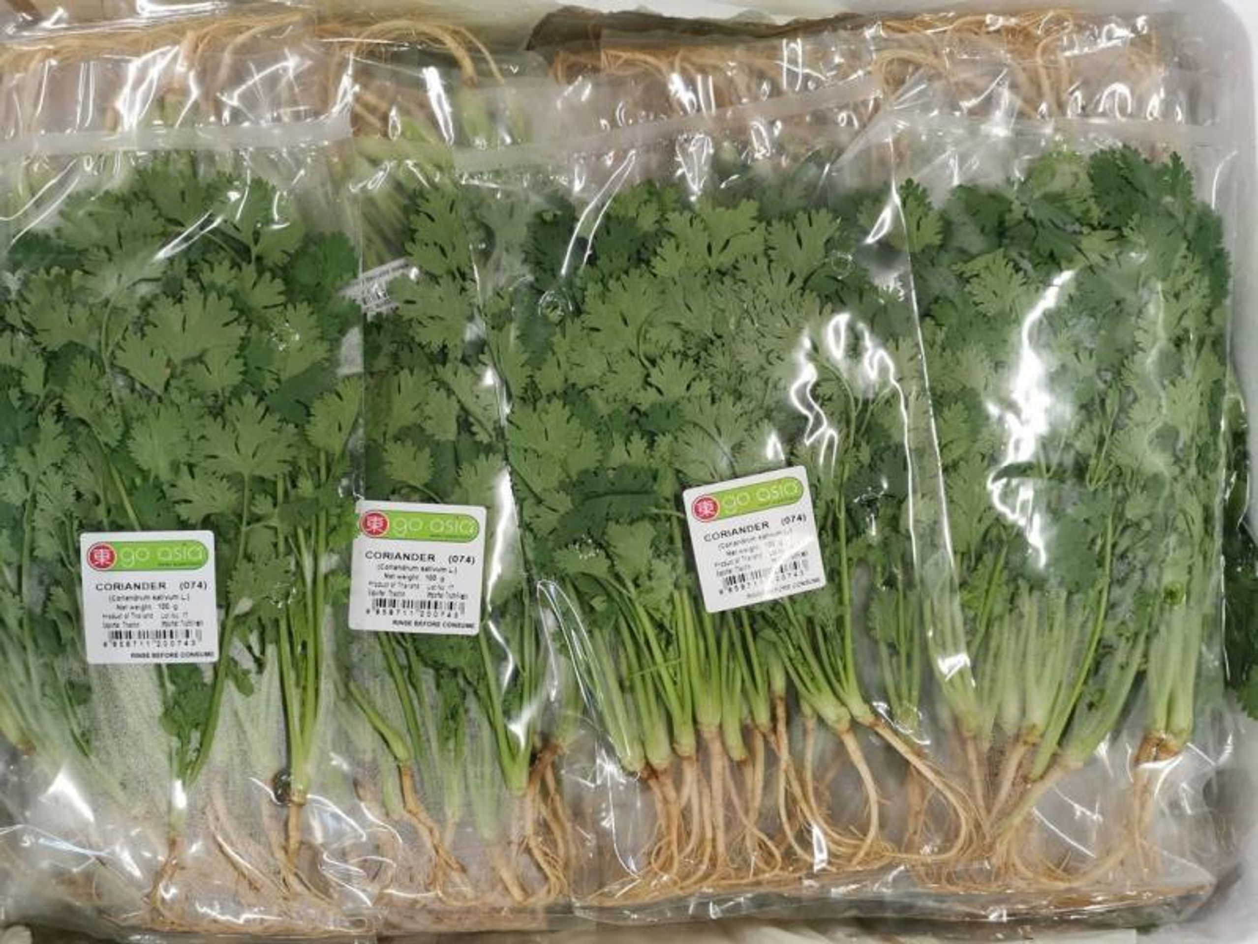 CORIANDER (074); (Coriandrum sativum L.) - Závadné potraviny (4/7)