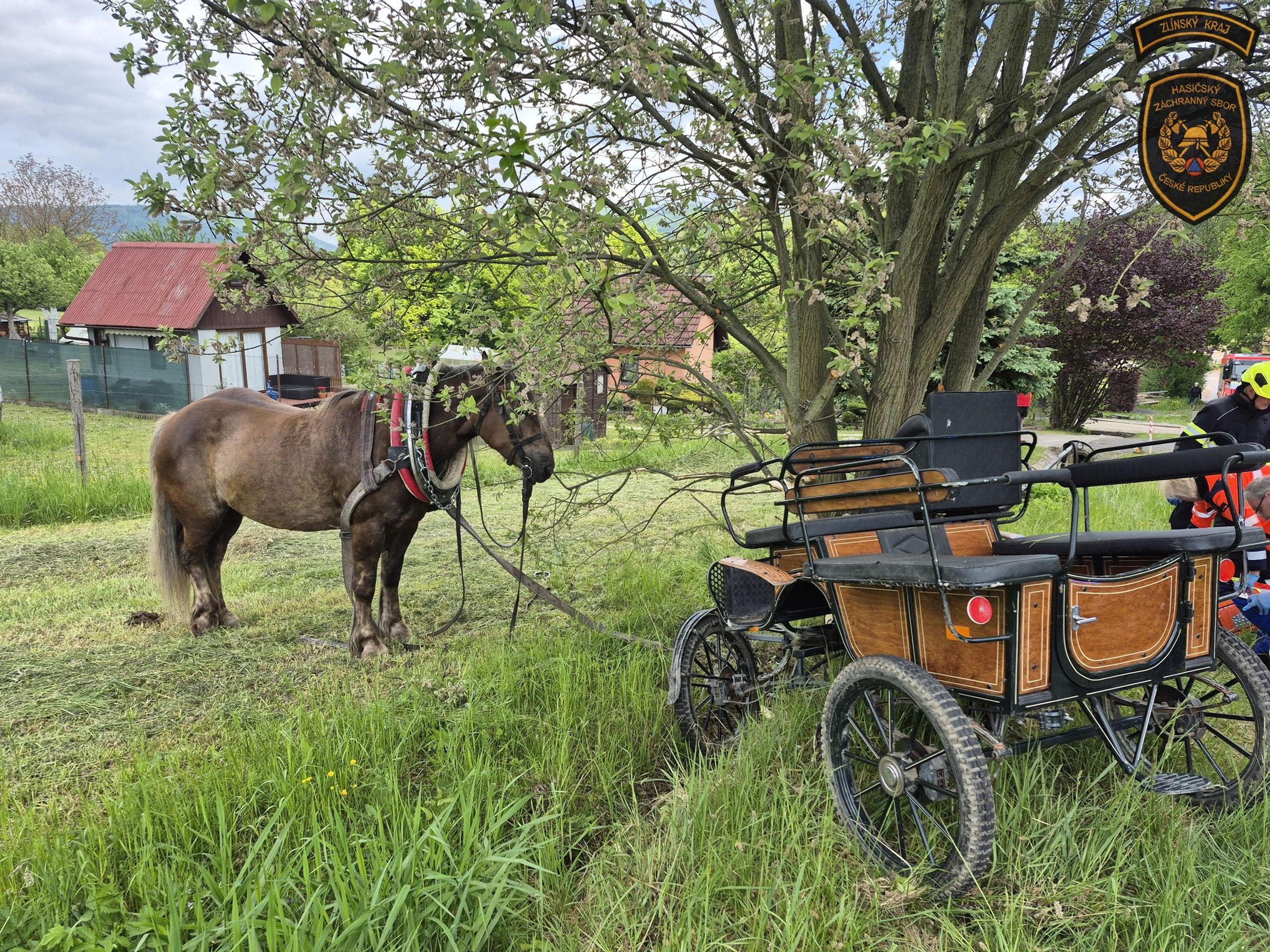 Koňský povoz s dětmi narazil do stromu - Koňský povoz s dětmi narazil do stromu (9/9)