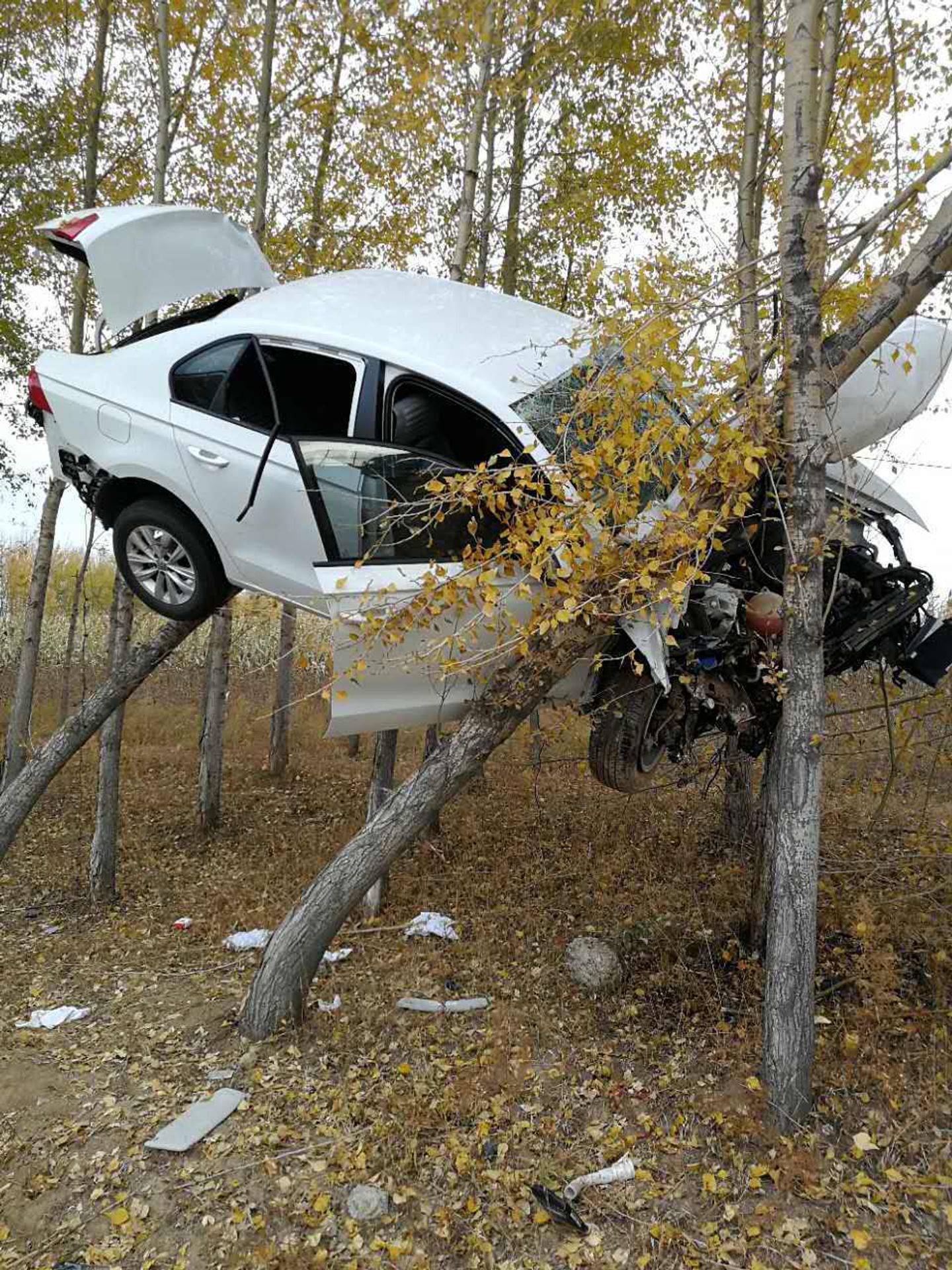 Nehoda - 7 - FOTOGALERIE: Auto zaklíněné ve stromech (4/4)