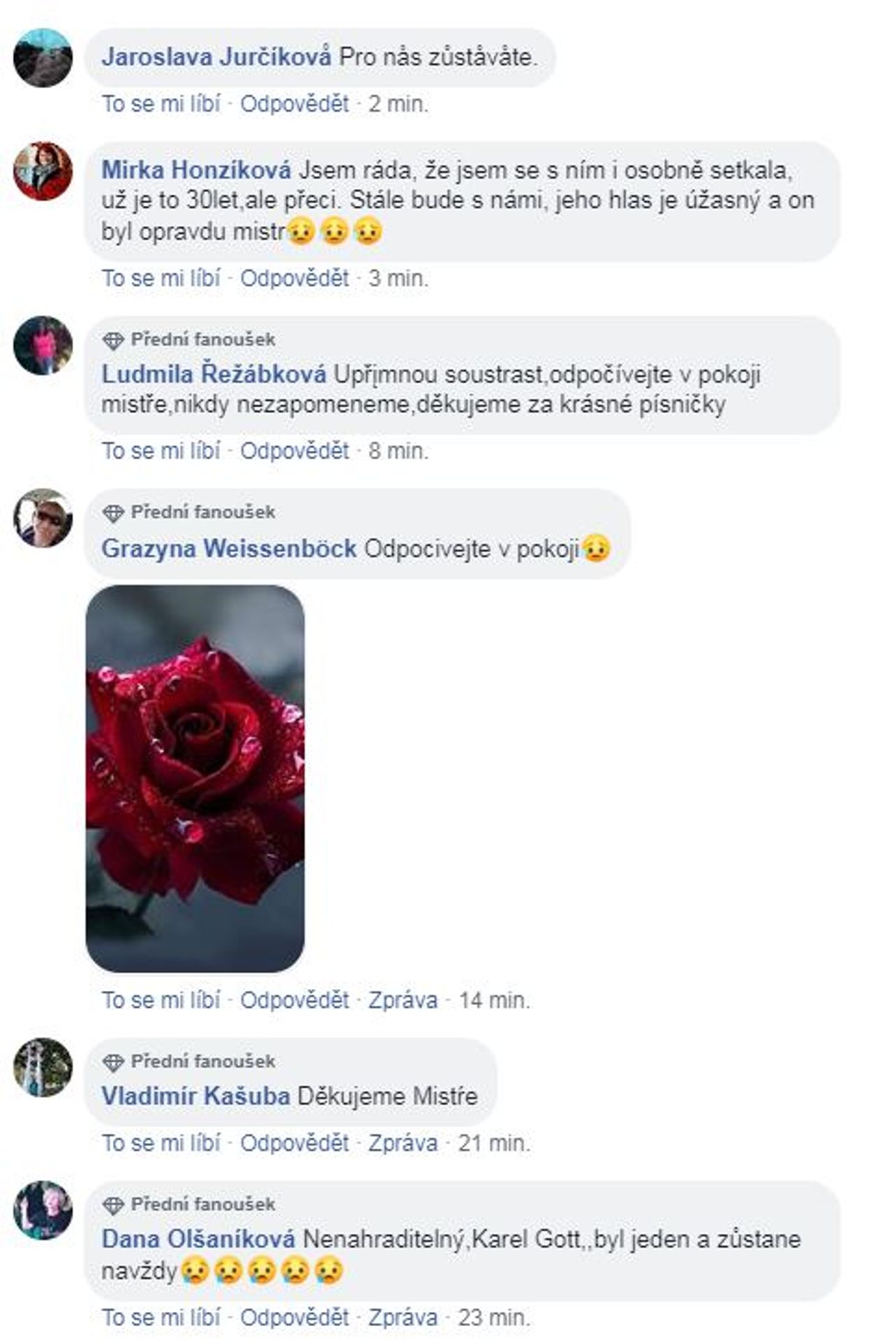 Vzkazy Karlu Gottovi - 3 - GALERIE: Vzkazy Karlu Gottovi (3/8)