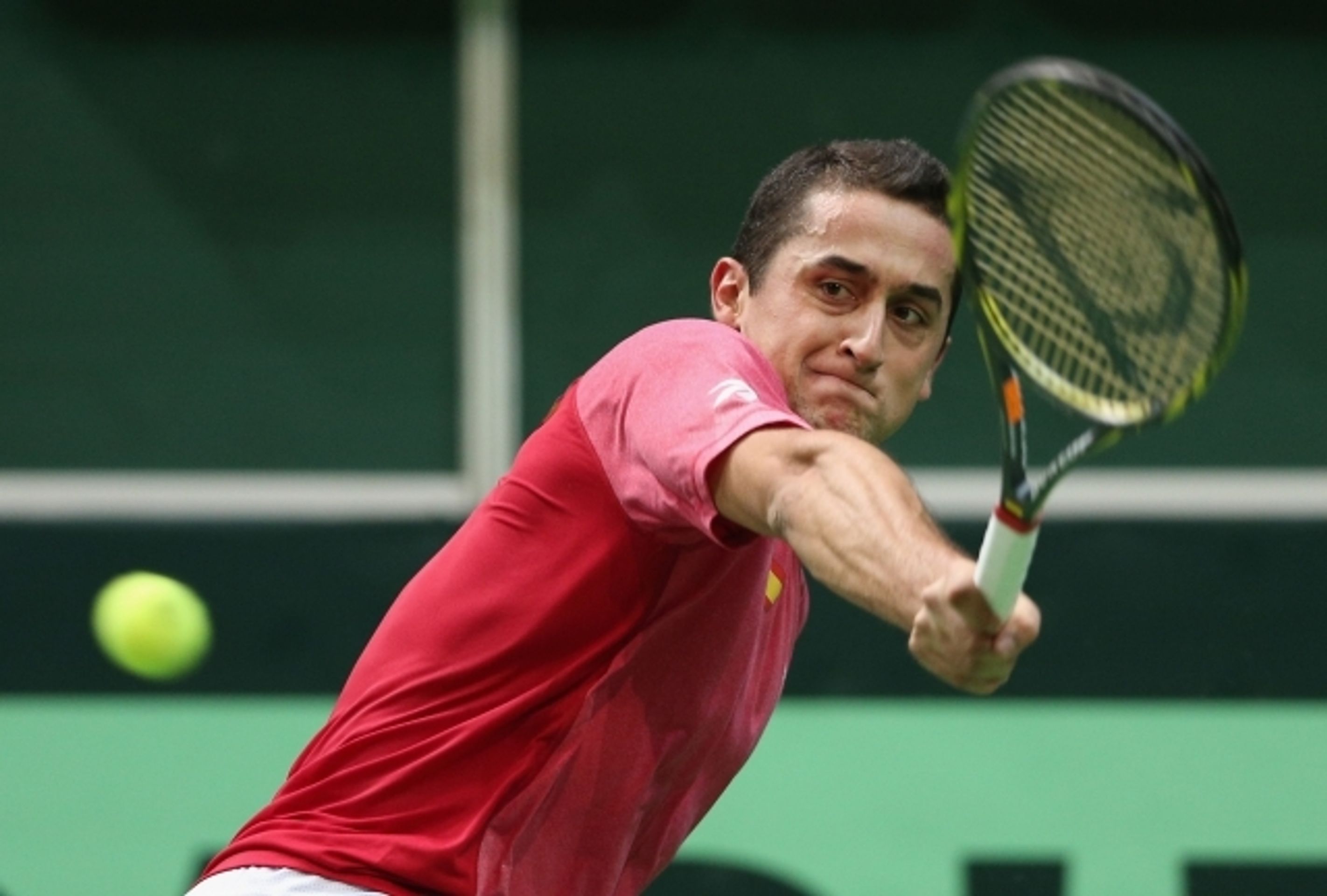 Radek Štěpánek vs. Nicolas Almagro - 9 - GALERIE: Radek Štěpánek vs. Nicolas Almagro (4/12)