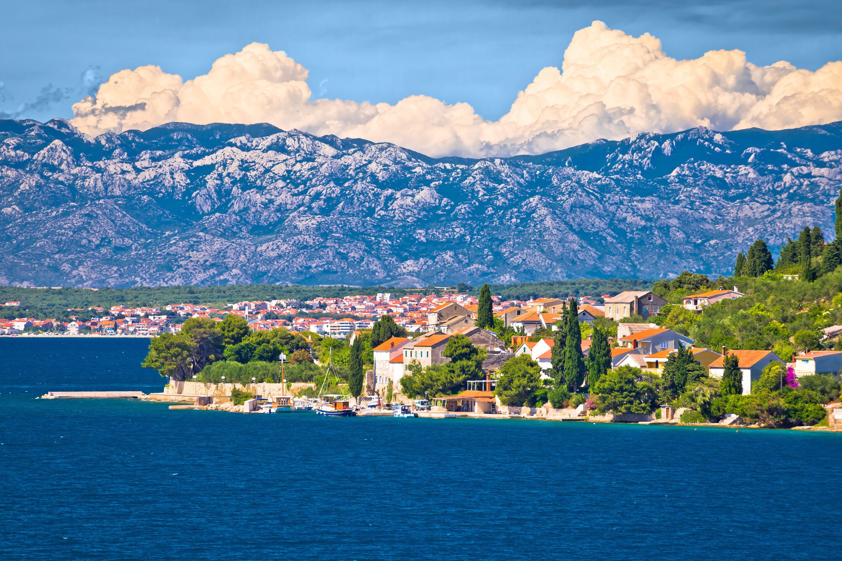 Ostrov Ošljak (2) - Ostrov Ošljak (1/5)