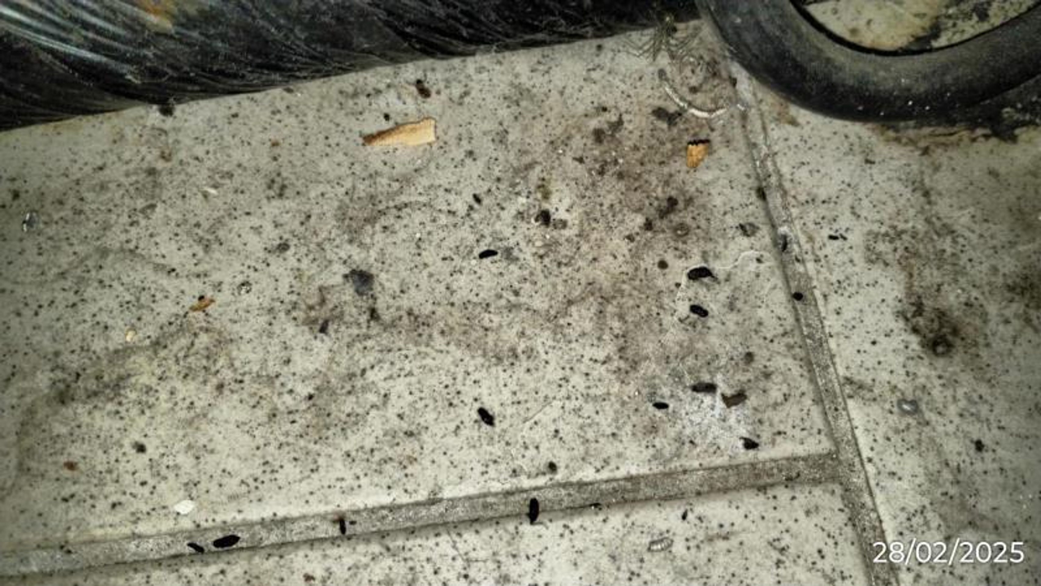 Dosty Bar, Merklín (5) - Provozovny s vážnými hygienickými nedostatky (23/70)