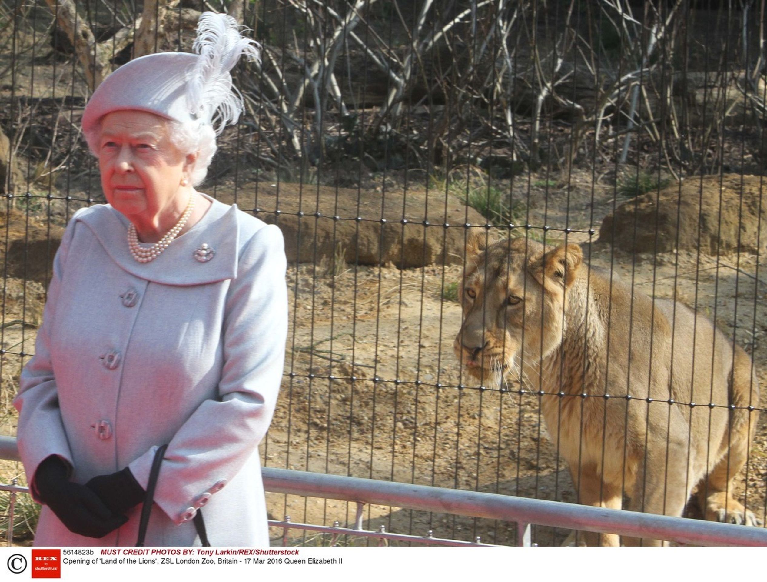 Zajímavé fotografie ze života královny Alžběty II. - Královna Alžběta v Londýnské ZOO - GALERIE: Královna Alžběta II. (16/21)