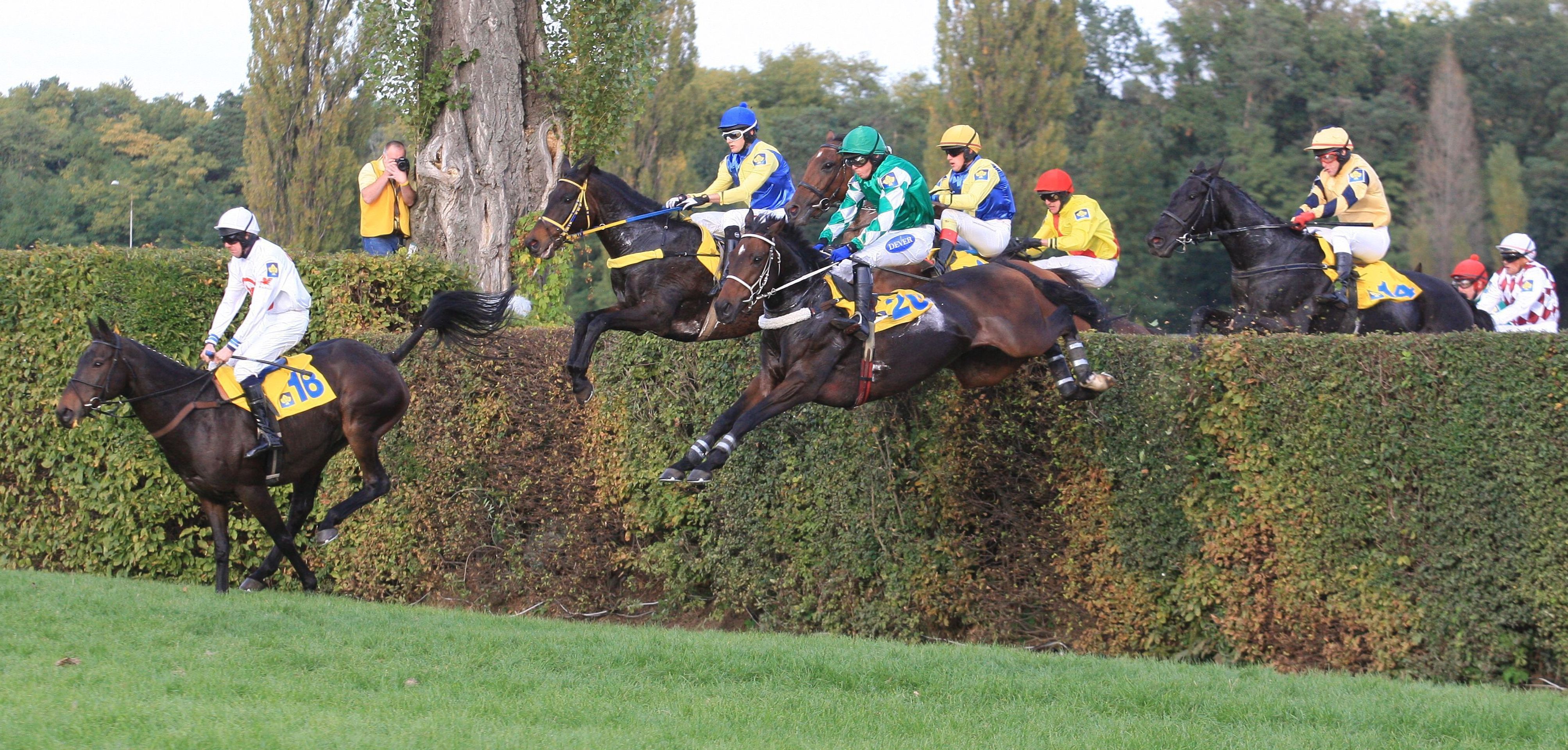 Velká Pardubická - 5 - GALERIE: Sportovní NEJ Česka (32/35)