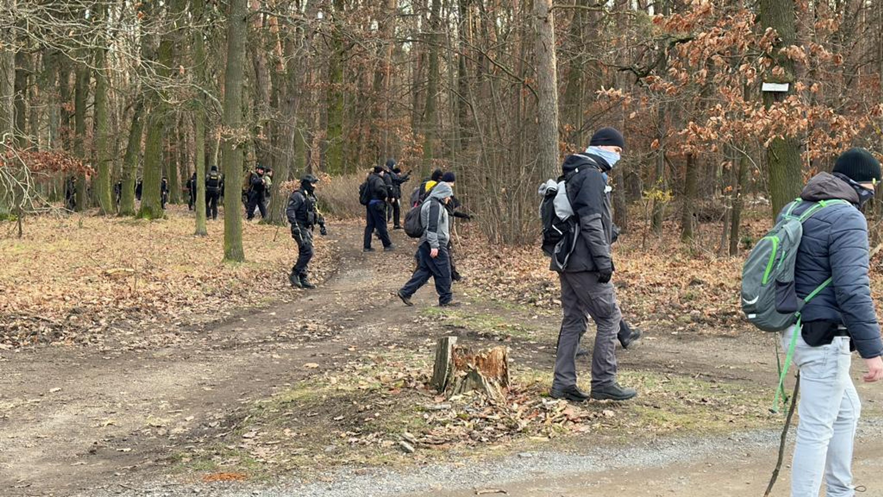 Hromadná policejní akce v Klánovicích (4) - Pátrací akce v Klánovickém lese (4/33)