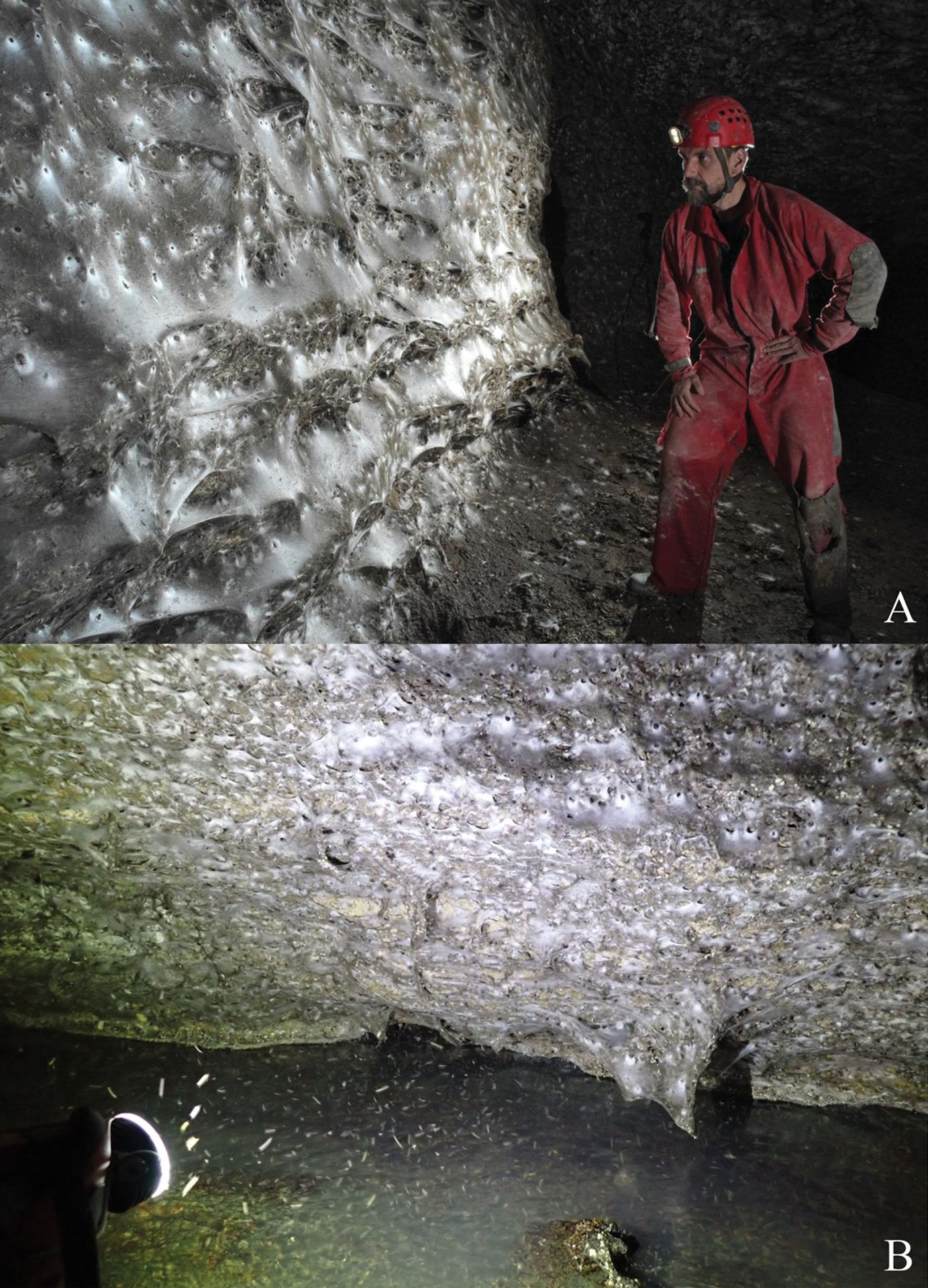 Kolonie pavouků v Sulfur Cave - Vědci v Evropě objevili nejhorší noční můru arachnofobiků. Nic většího ještě neviděli (4/4)