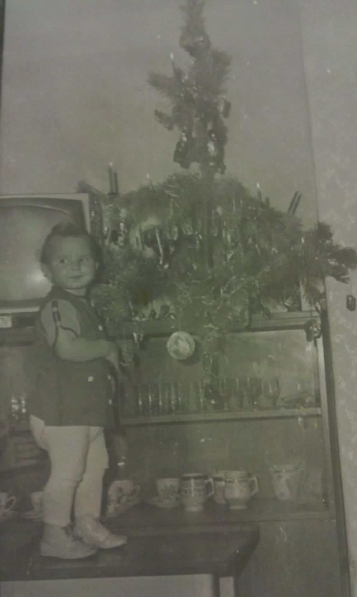 Vánco paní Renaty - Nejstarší vánoční stromky - fotogalerie (4/8)