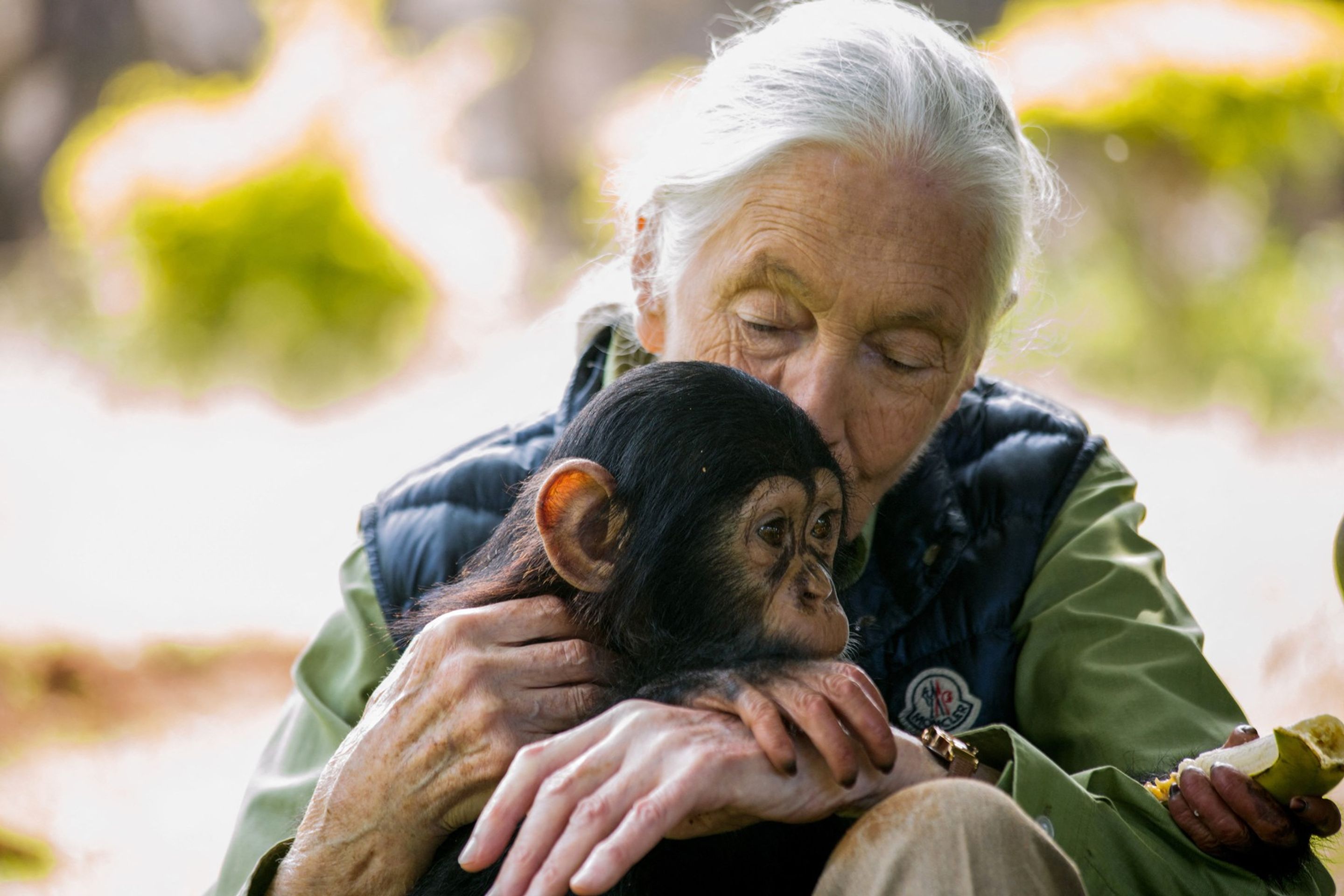 Jane Goodallová - Jane Goodallová (2/5)
