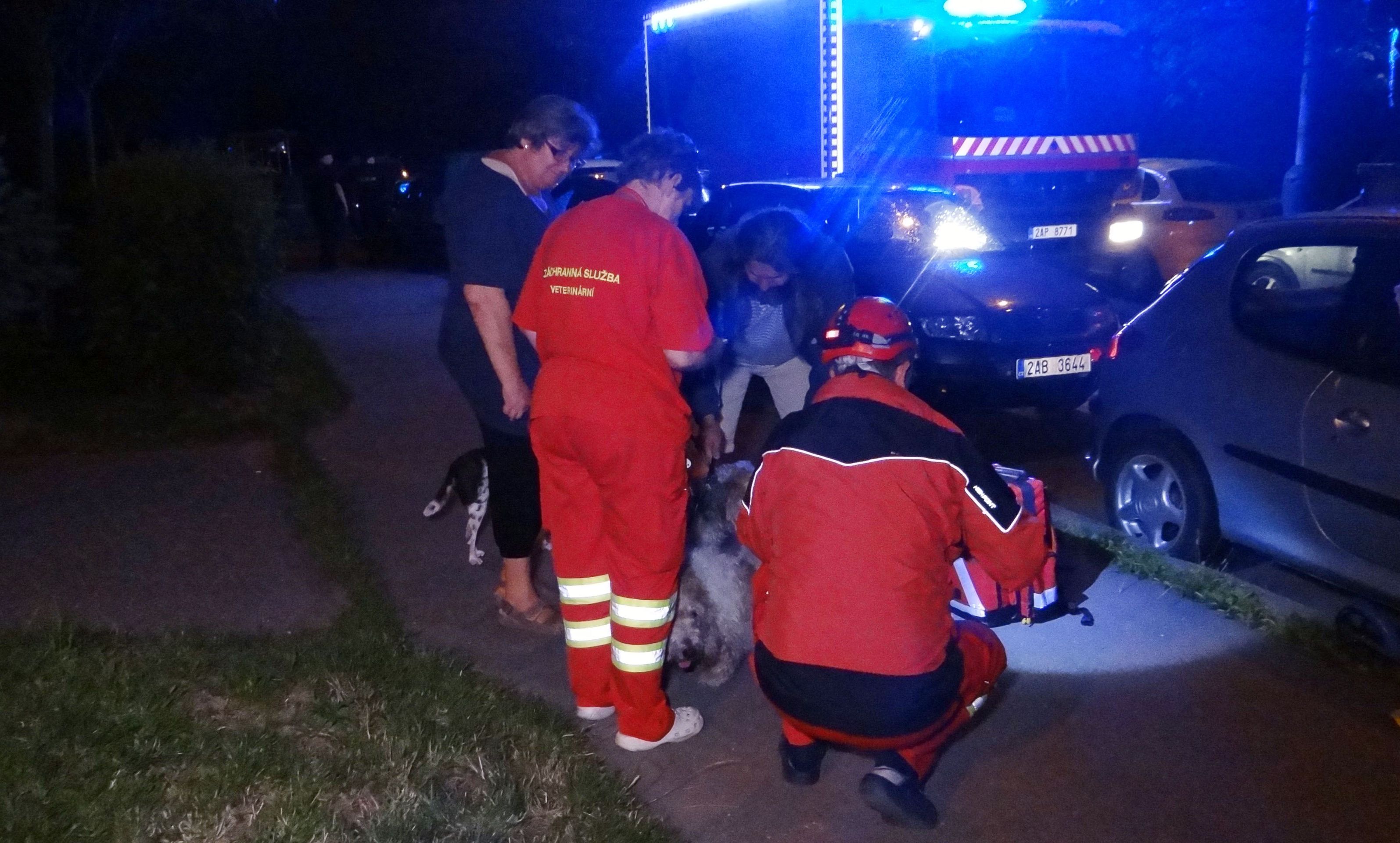 Zasahovalo velké množství jednotek, okolí policisté uzavřeli - GALERIE: Požár v paneláku v Praze (4/17)