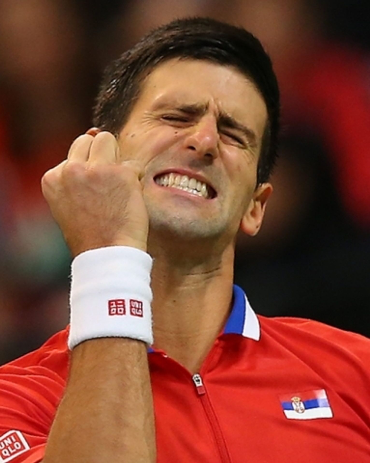 Radek Štěpánek - Novak Djokovič (finále Davis Cupu) - 4 - GALERIE: První den finále finále Davis Cupu (5/12)