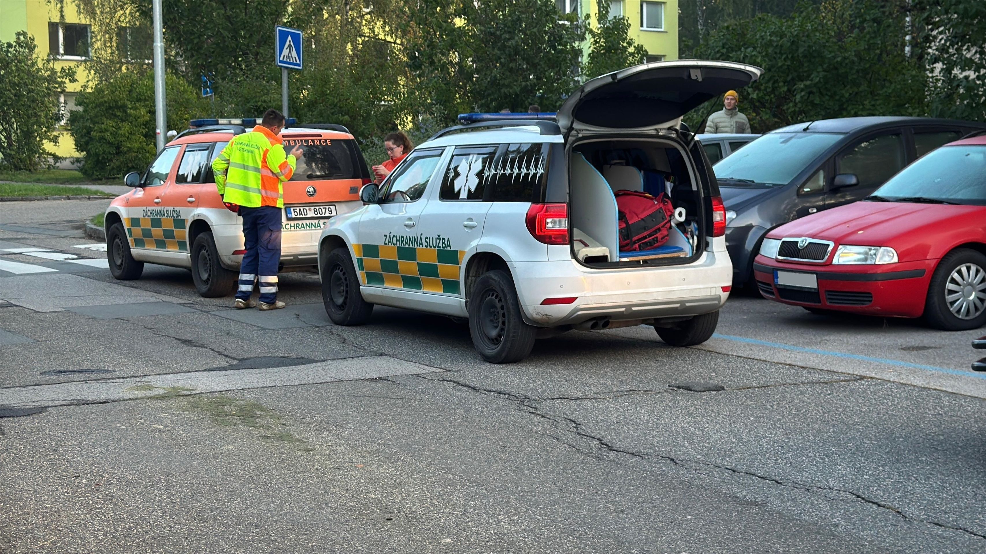 V Praze utekli majiteli agresivní rotvajleři - Útok rotvajlerů v Praze (7/11)