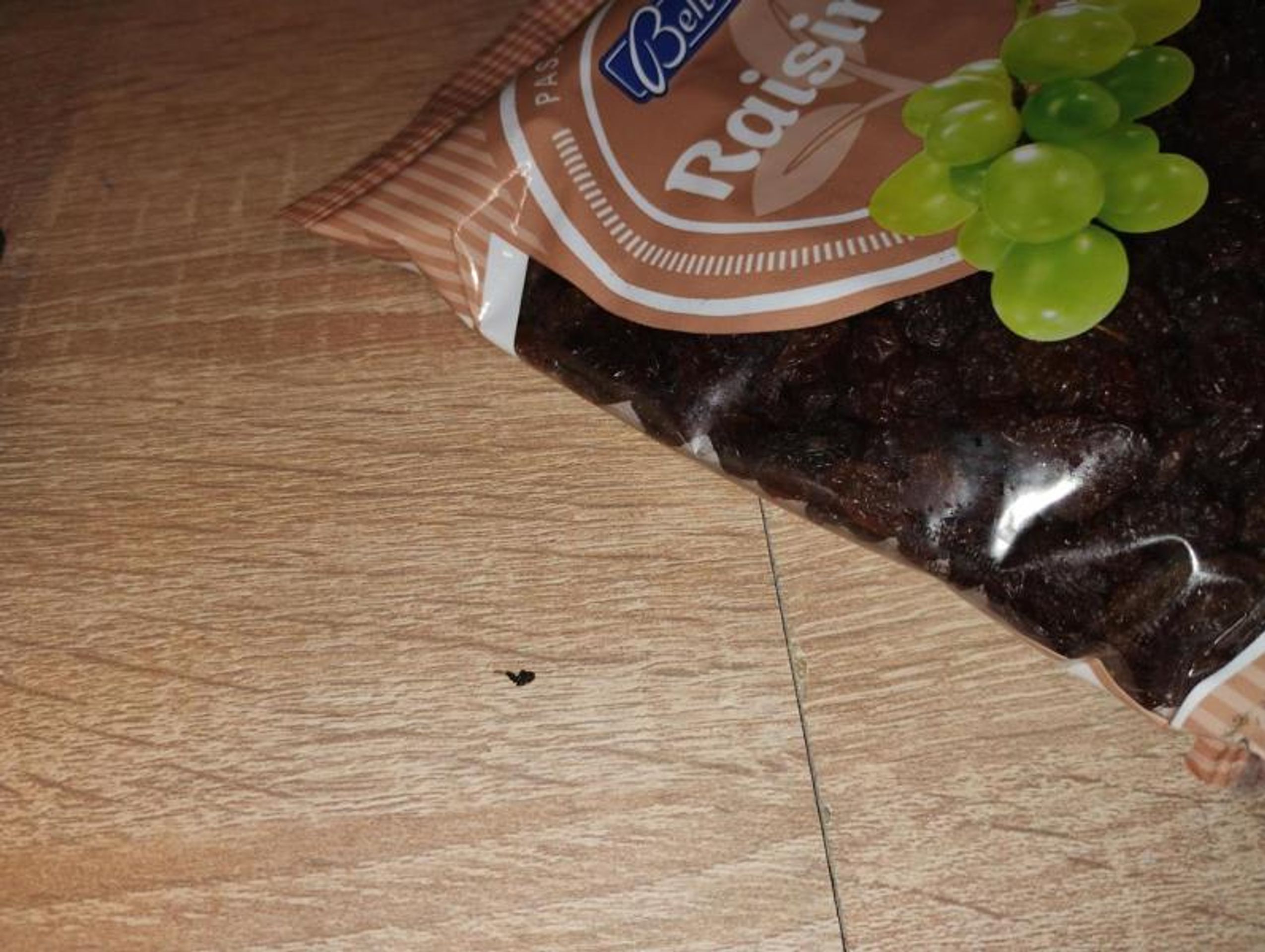 Uzavřená prodejna Lidl (11) - Uzavřená prodejna Lidl v Pardubicích (11/20)