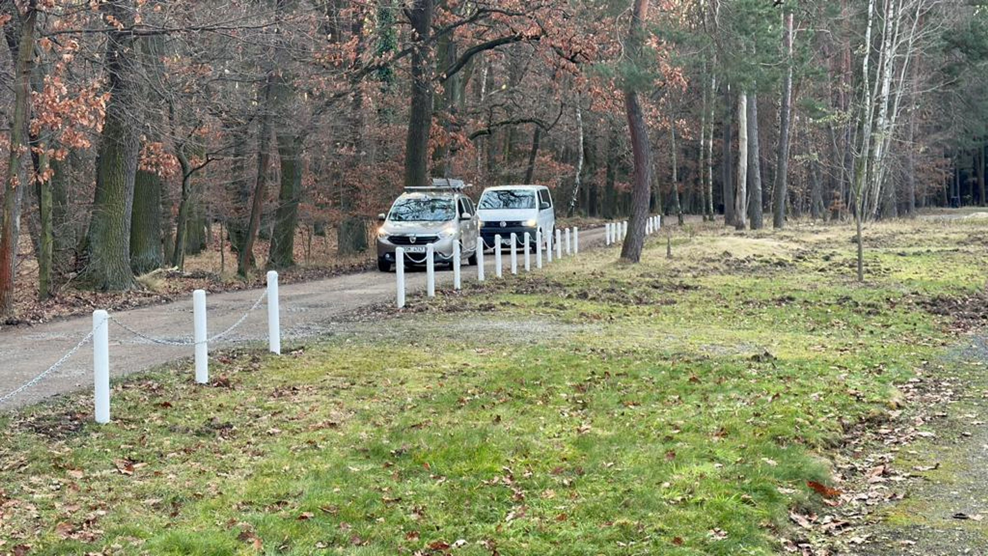 Hromadná policejní akce v Klánovicích (7) - Pátrací akce v Klánovickém lese (8/33)