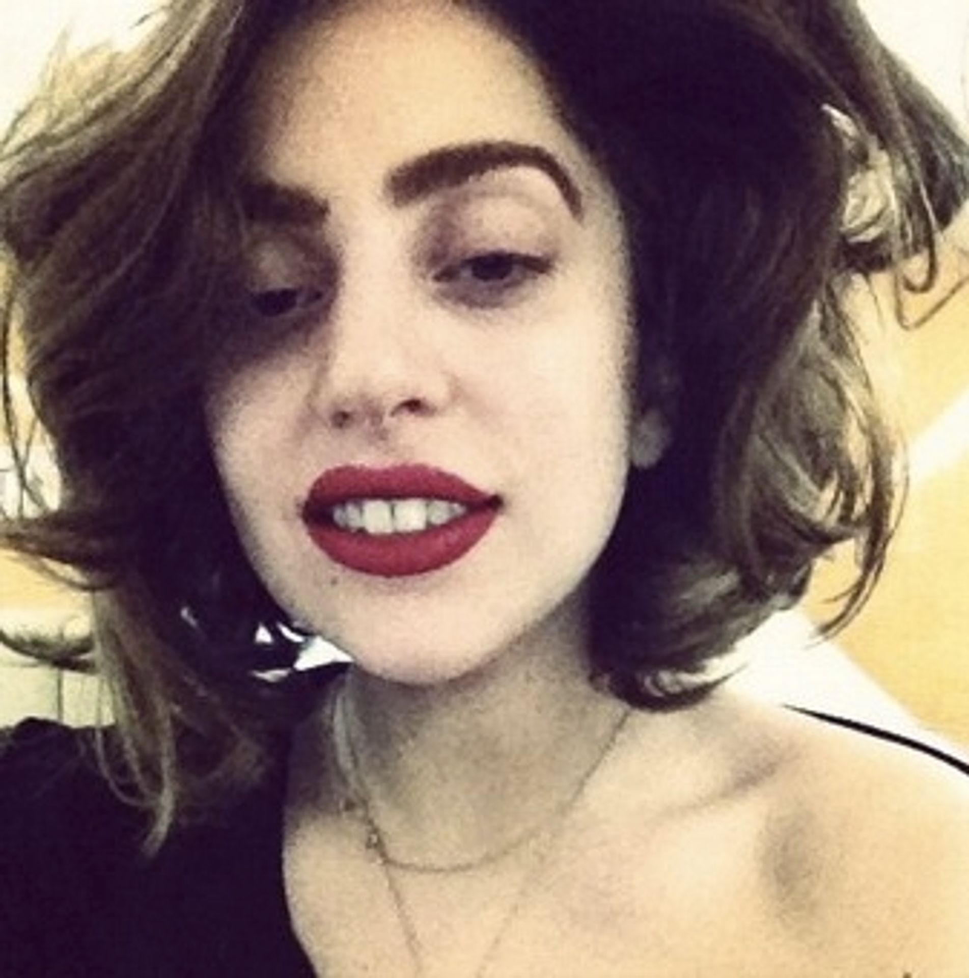 Lady Gaga - GALERIE: Selfie známých osobností (11/13)