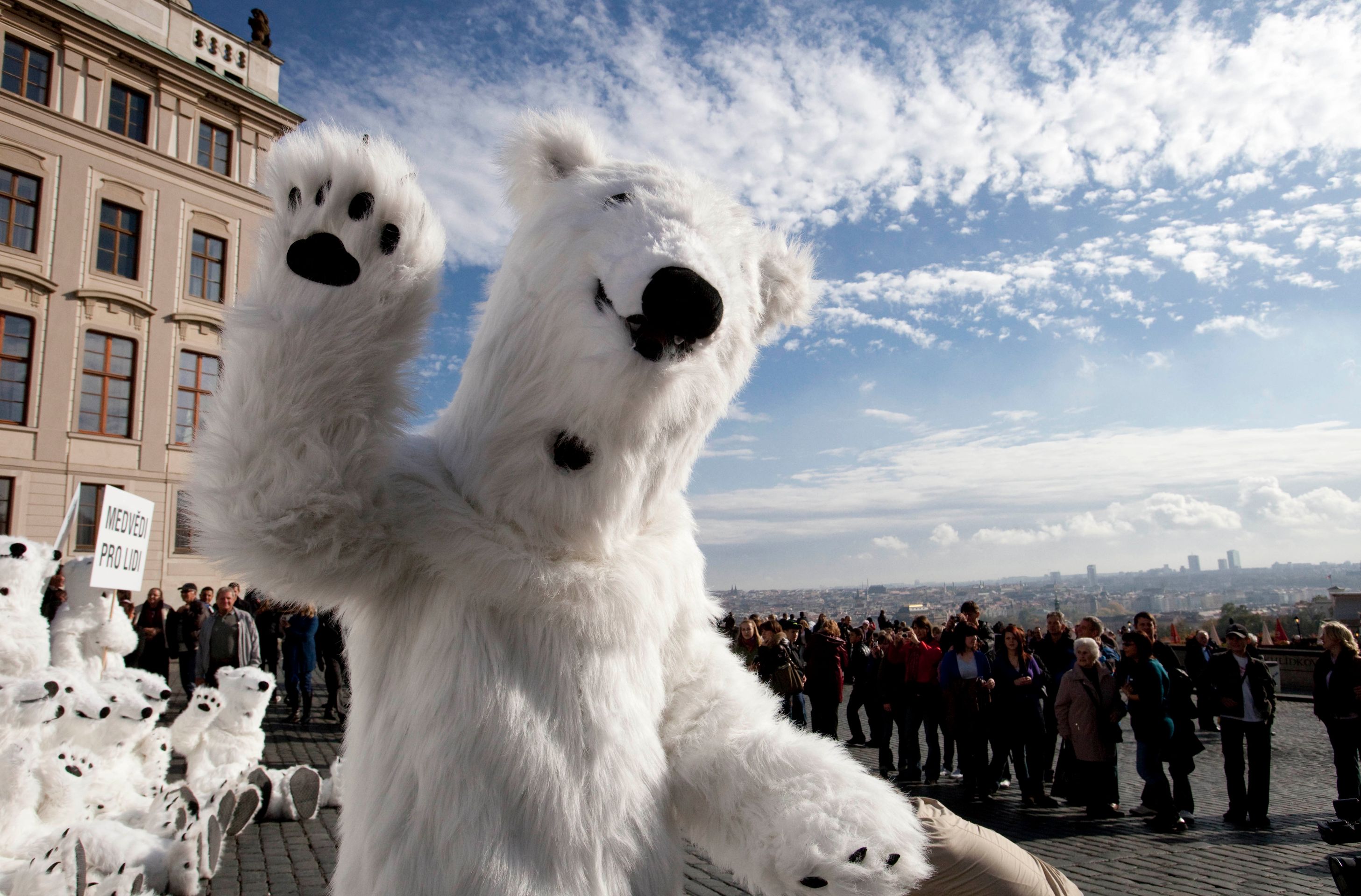 Na Hradě demonstrovali "lední medvědi" - GALERIE: "Lední medvědi" demonstrovali na Hradě (1/7)