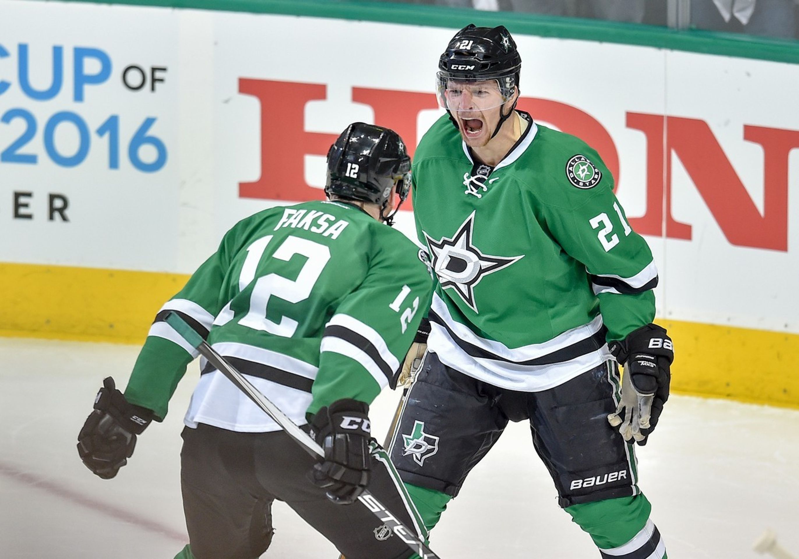 Radek Faksa - 4 - GALERIE: Radek Faksa (9/9)