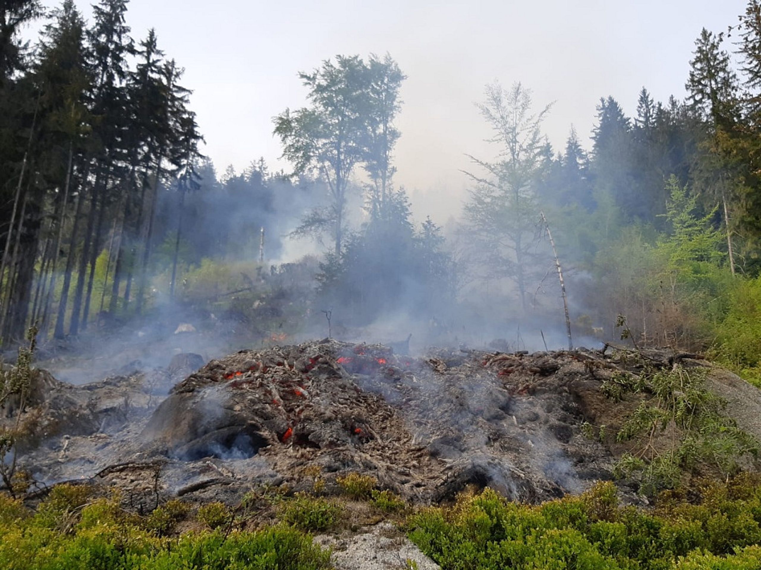 Hasiči likvidovali požár lesa na Tanvaldském Špičáku - GALERIE: Na Tanvaldském Špičáku hořel les (4/6)
