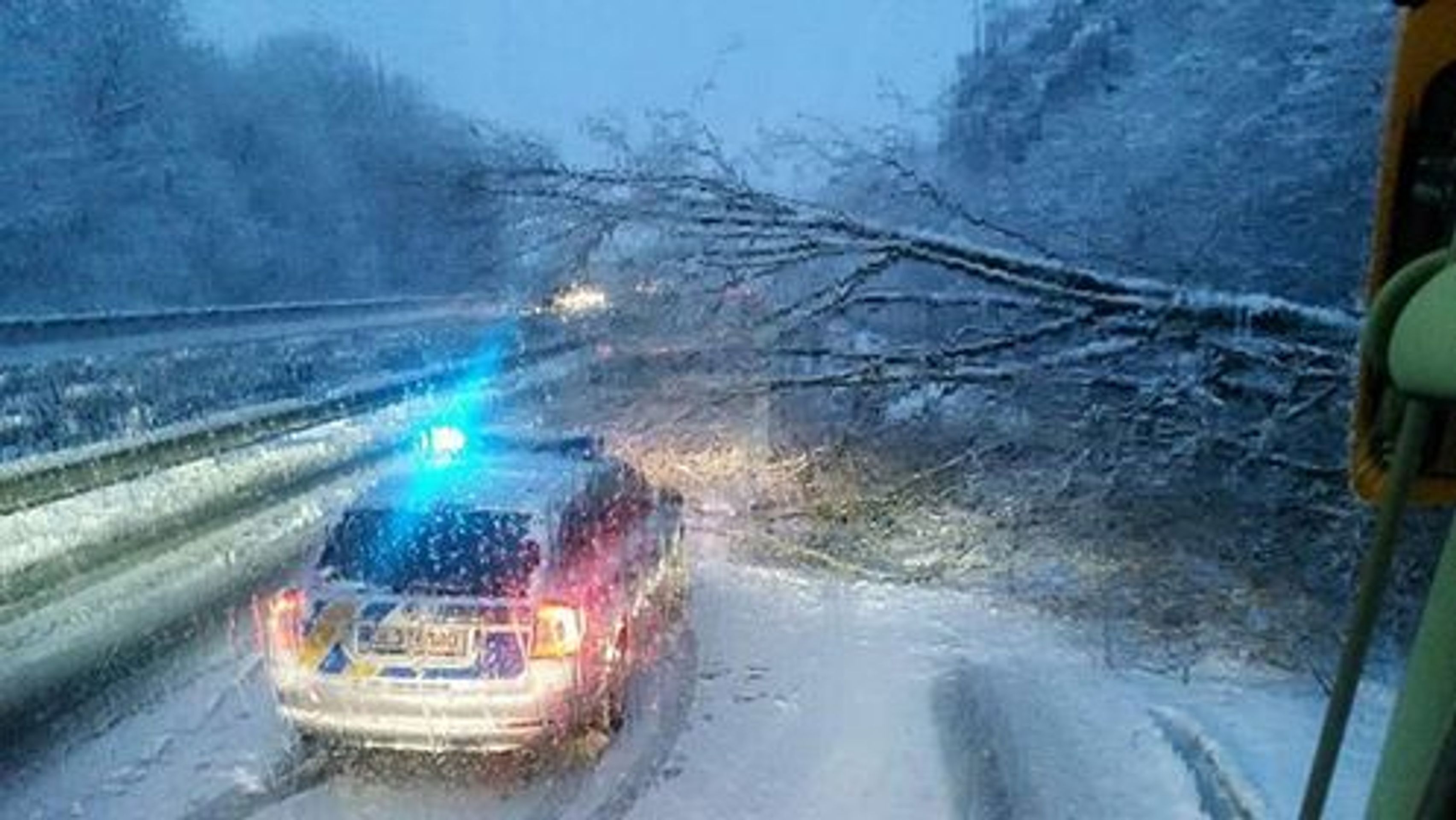 Strom spadl na dálnici Liberec-Turnov - GALERIE: Sníh v Česku 4.1.2017 (11/25)