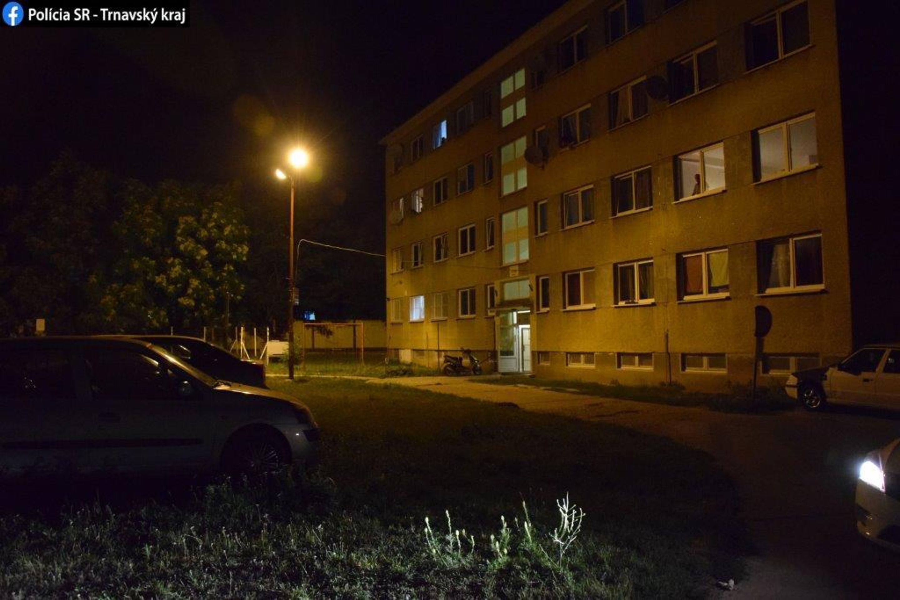 Žena z Trnavy vyhodila štěňátko z okna - 3 - GALERIE: Vyhodila štěně z okna (2/3)