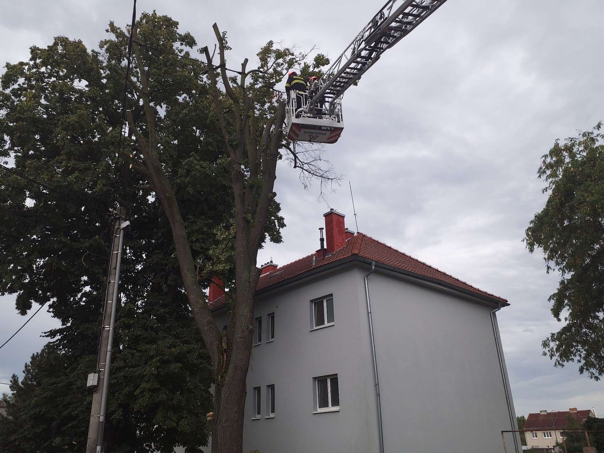 Následky bouřek v Jihomoravském kraji - Následky čtvrtečních bouřek (5/8)