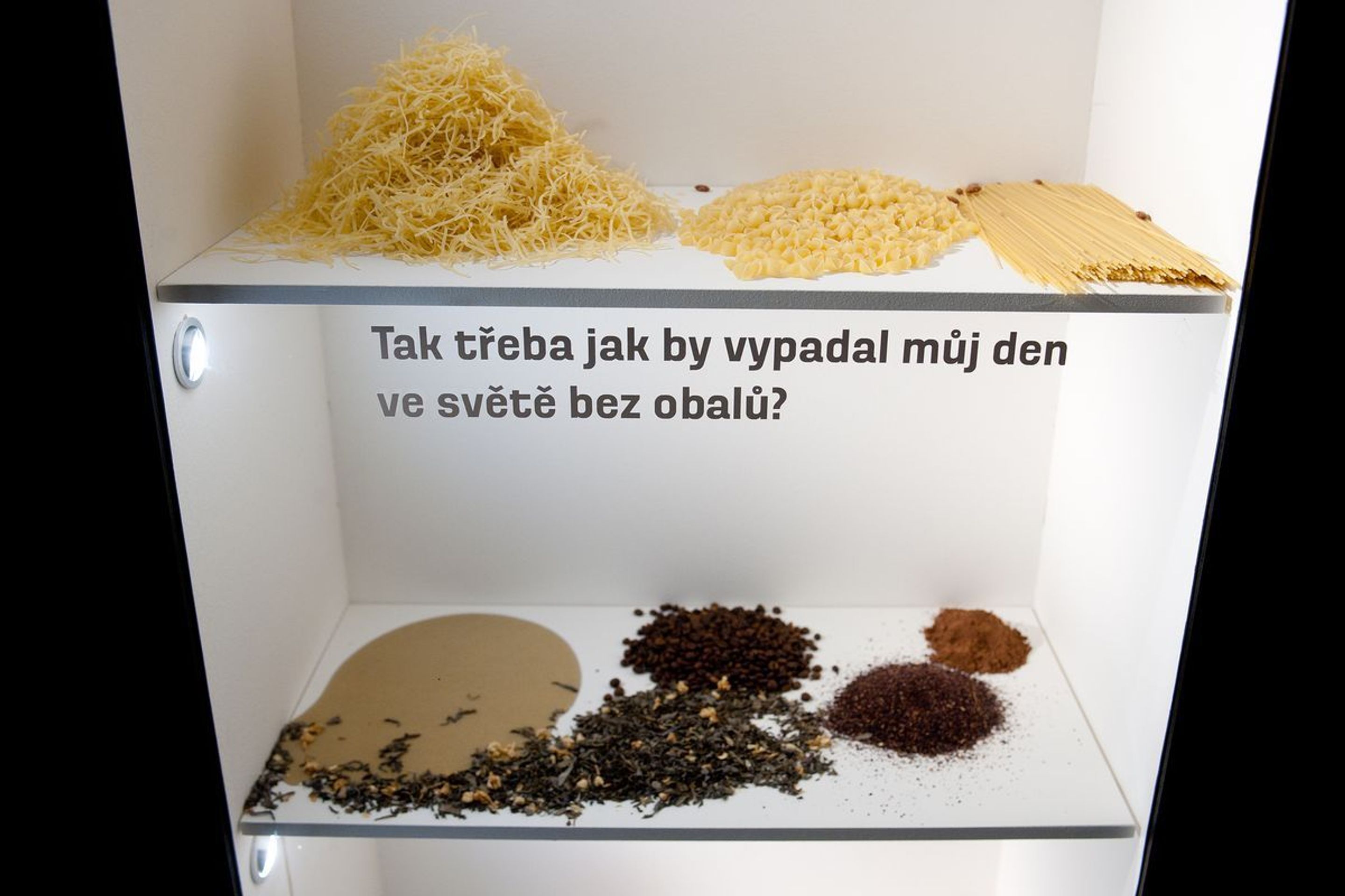 Výstava Od věku sloužím člověku - 11 - GALERIE: Výstava Od věku sloužím člověku (37/47)