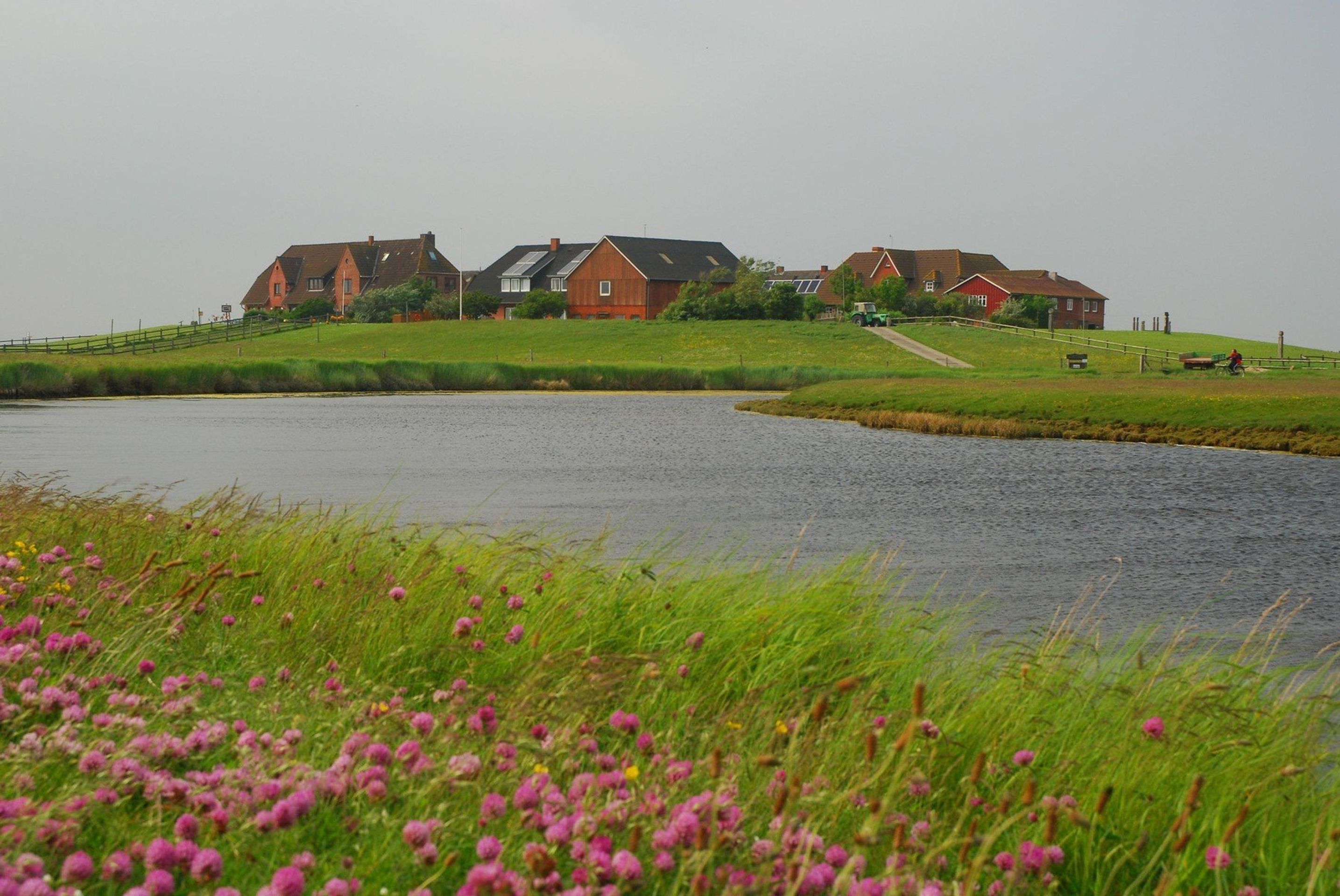 Ostrov Hallig Hooge - 5 - GALERIE: Ostrov Hallig Hooge (1/5)