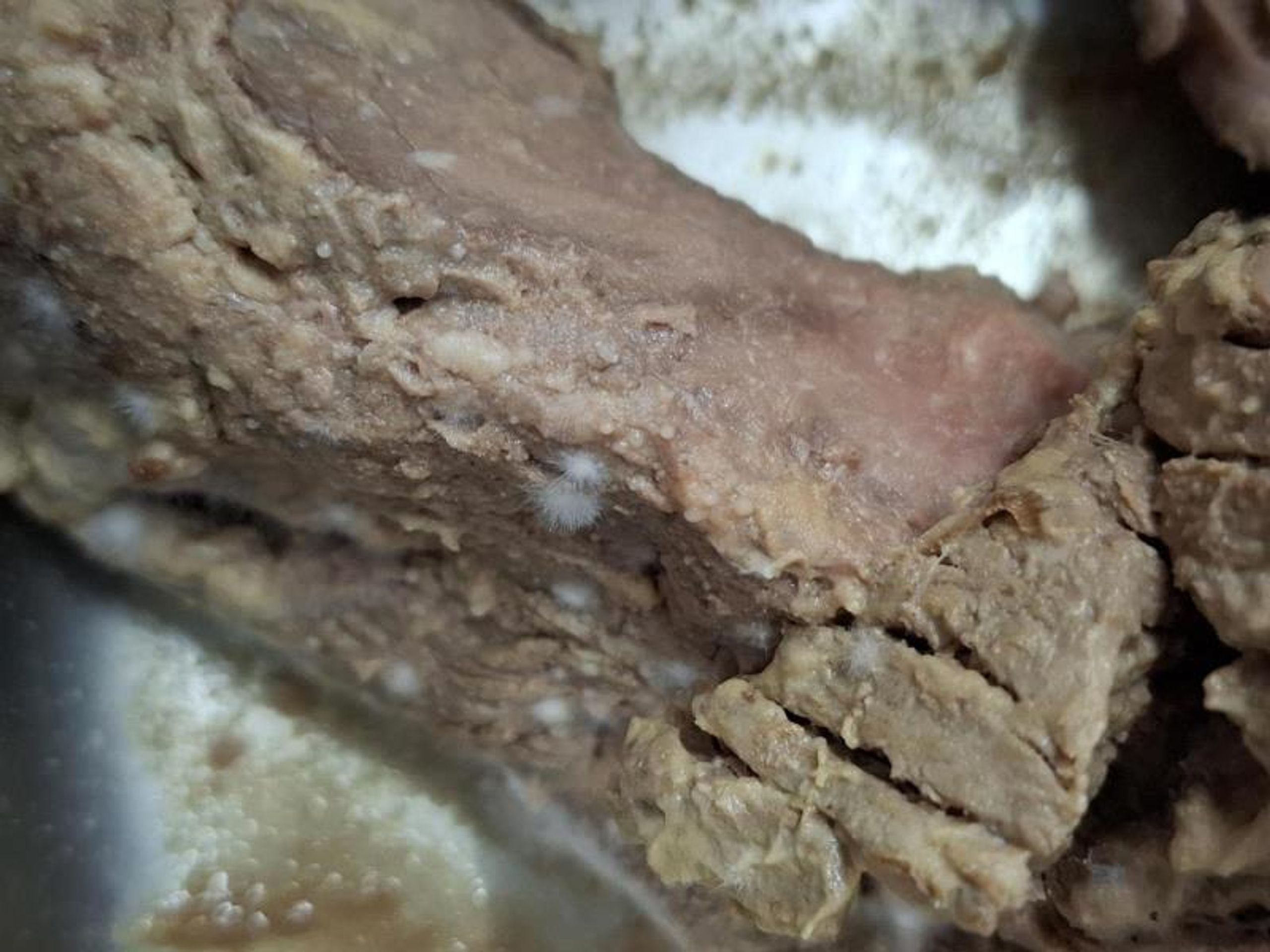 Hovězí roastbeef (1) - Závadné potraviny (7/9)